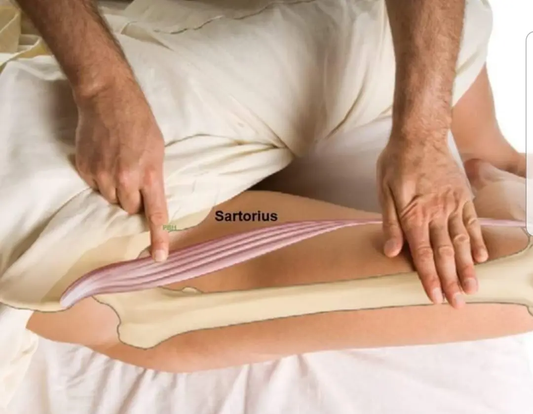 Udon Thai Massage