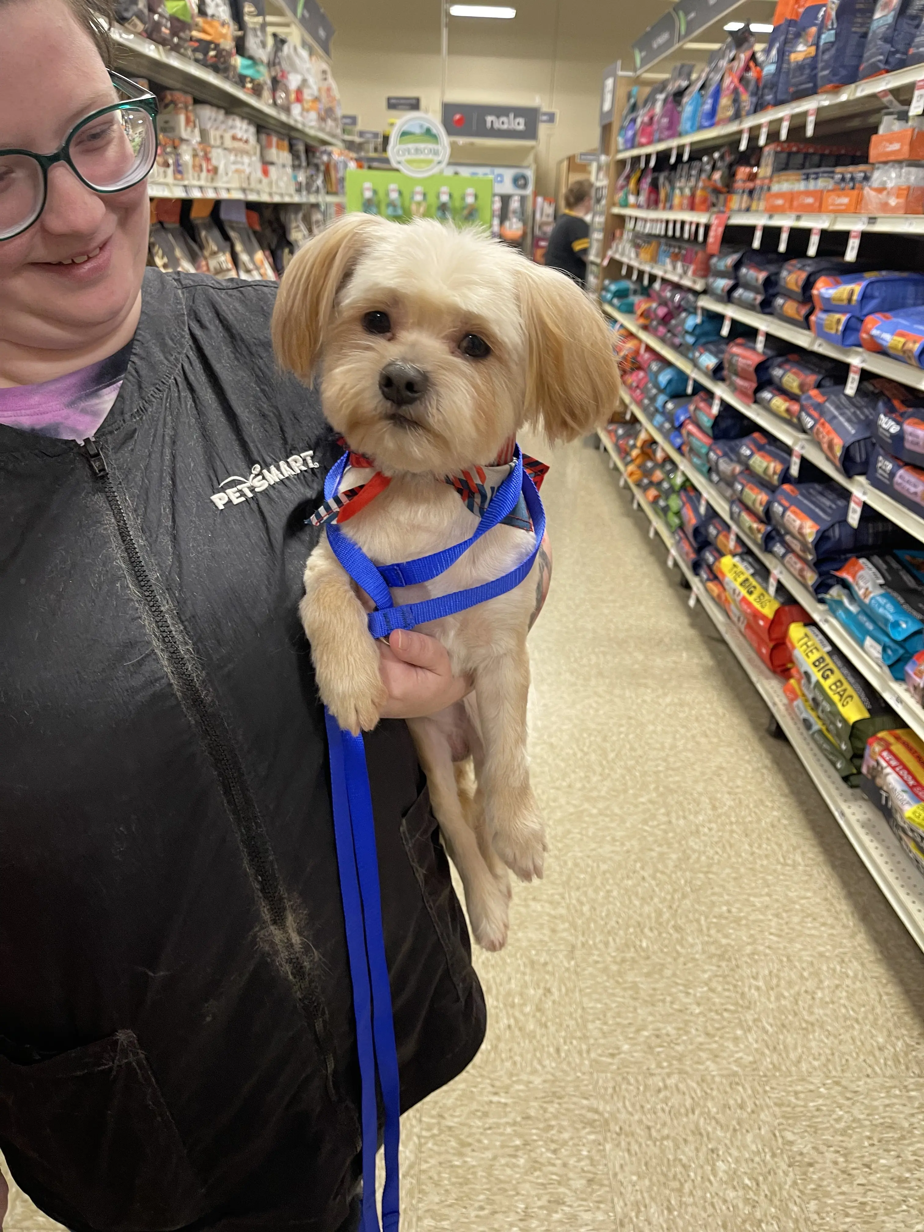 Petco Grooming