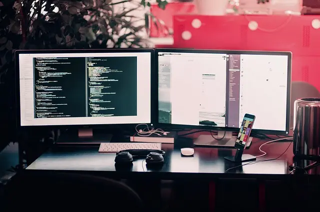Egochi Miami SEO Agency