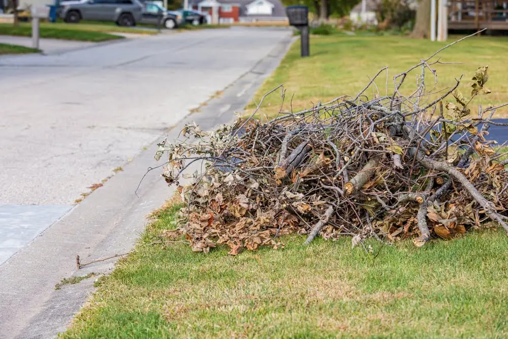 ClearWay Tree Trimming Solutions