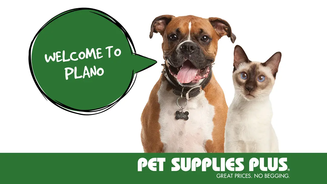 Pet Supplies Plus Plano