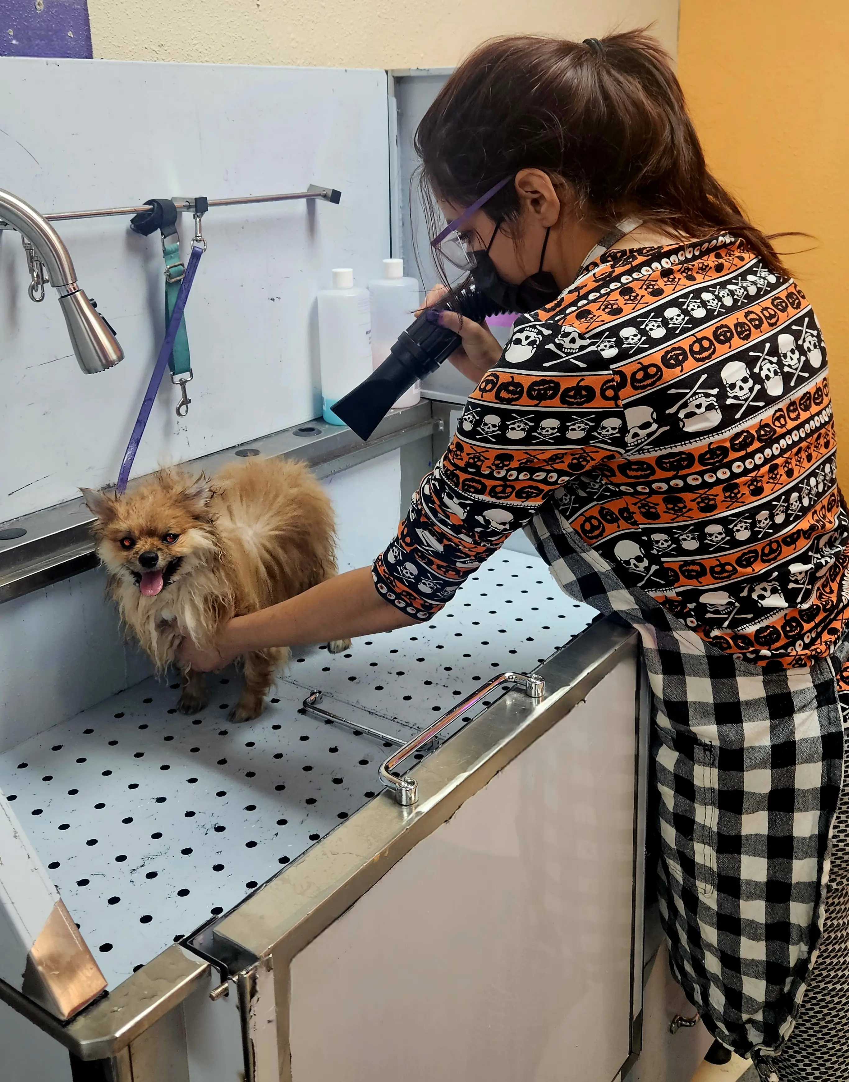 FLUFFY HAUS PET GROOMING