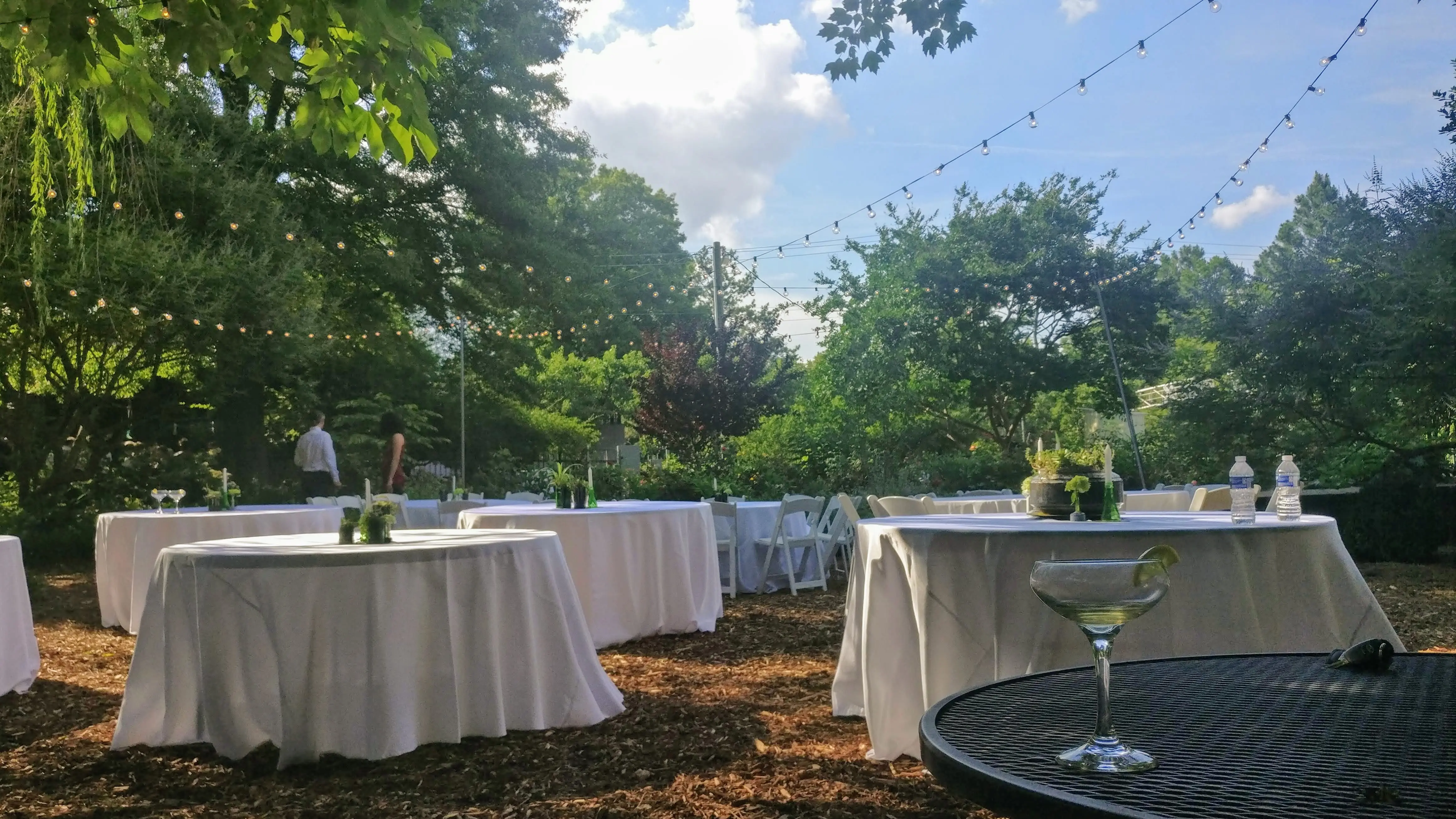 McGill Rose Garden