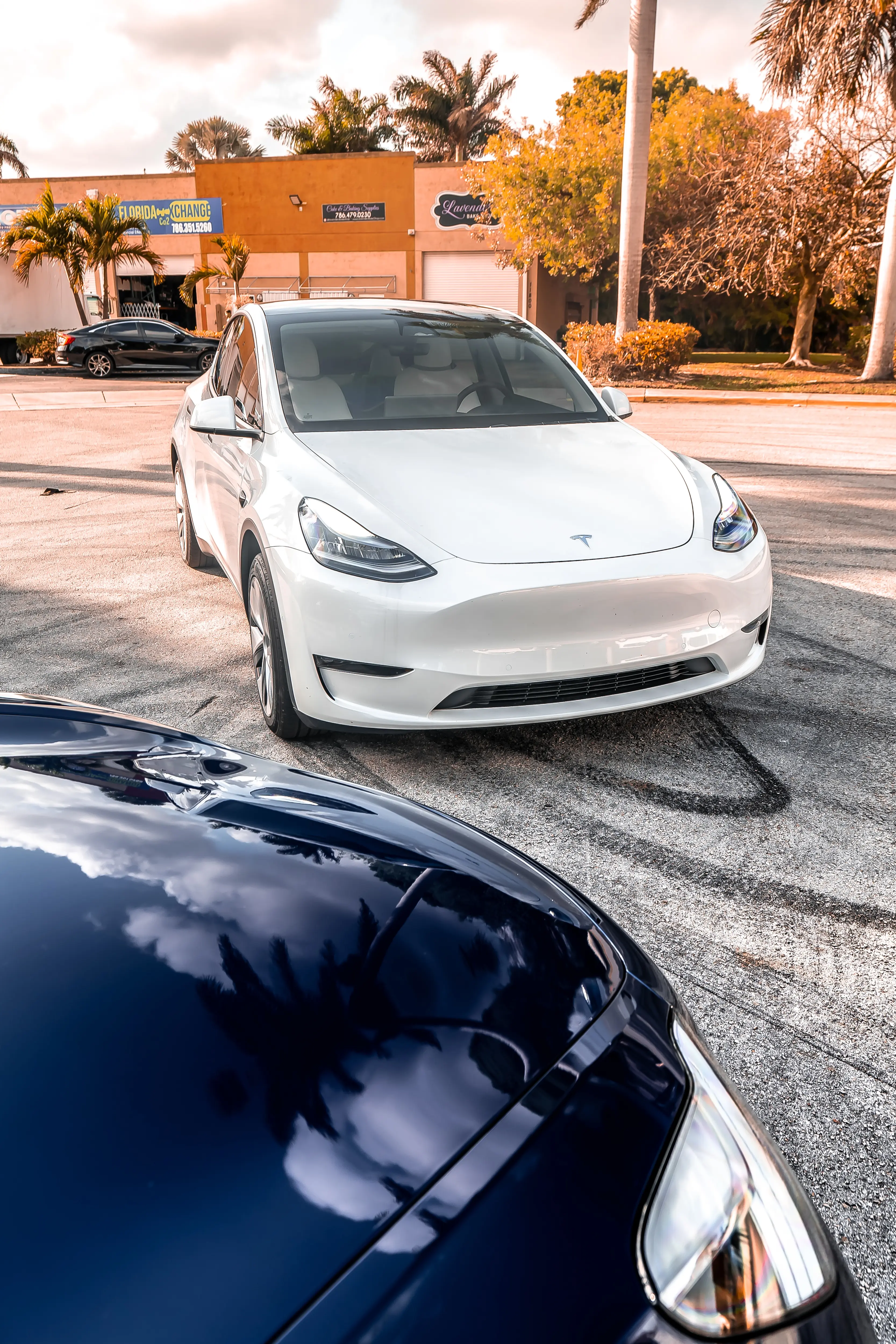 High End Detail Paint Protection & Window Tinting