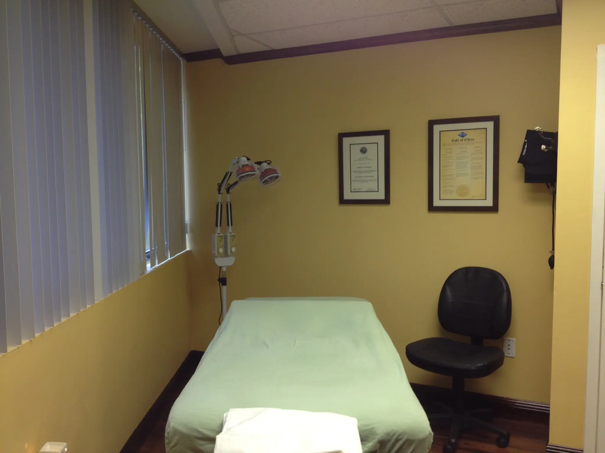 Theresa Gilmore, Licensed Acupuncturist
