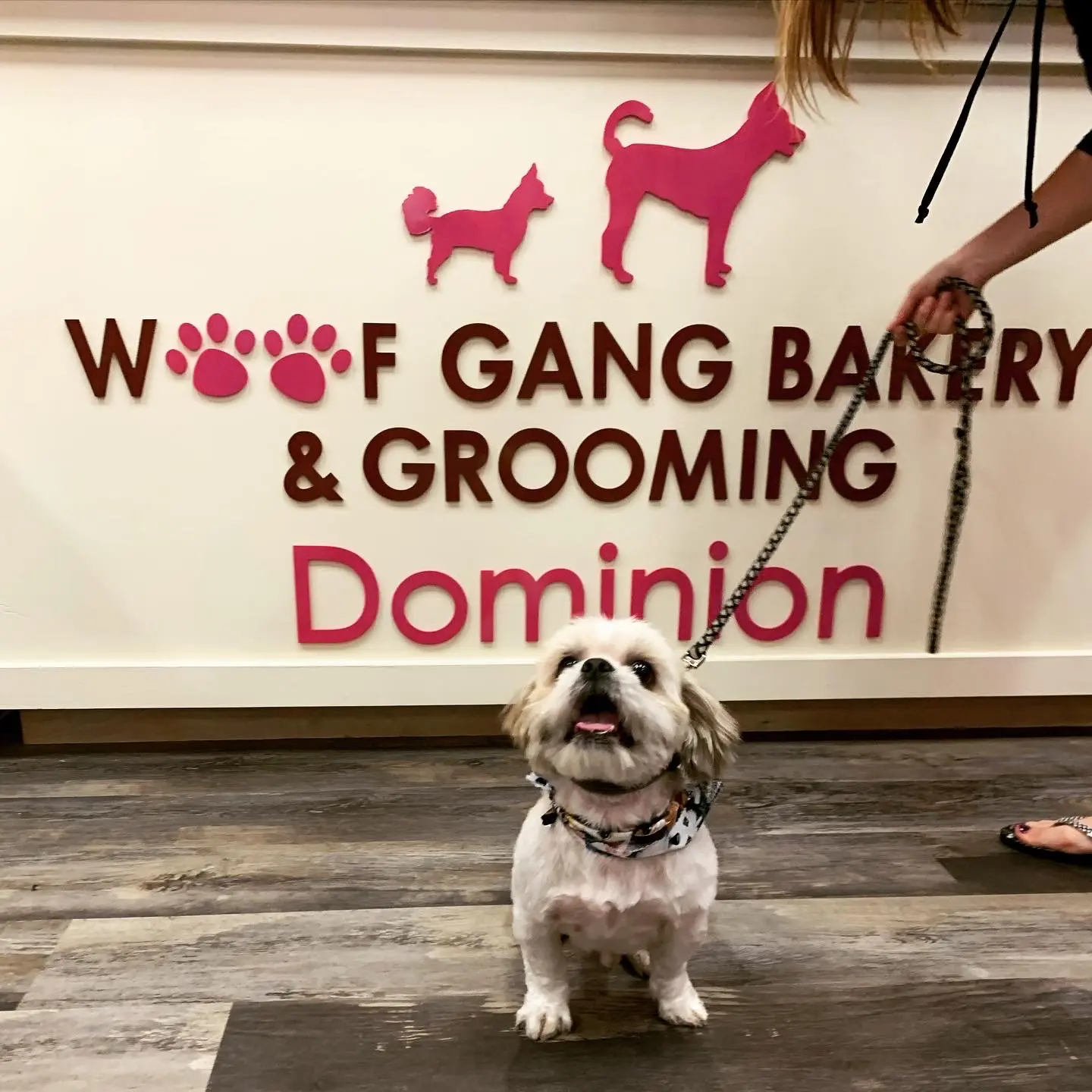 Woof Gang Bakery & Grooming Dominion