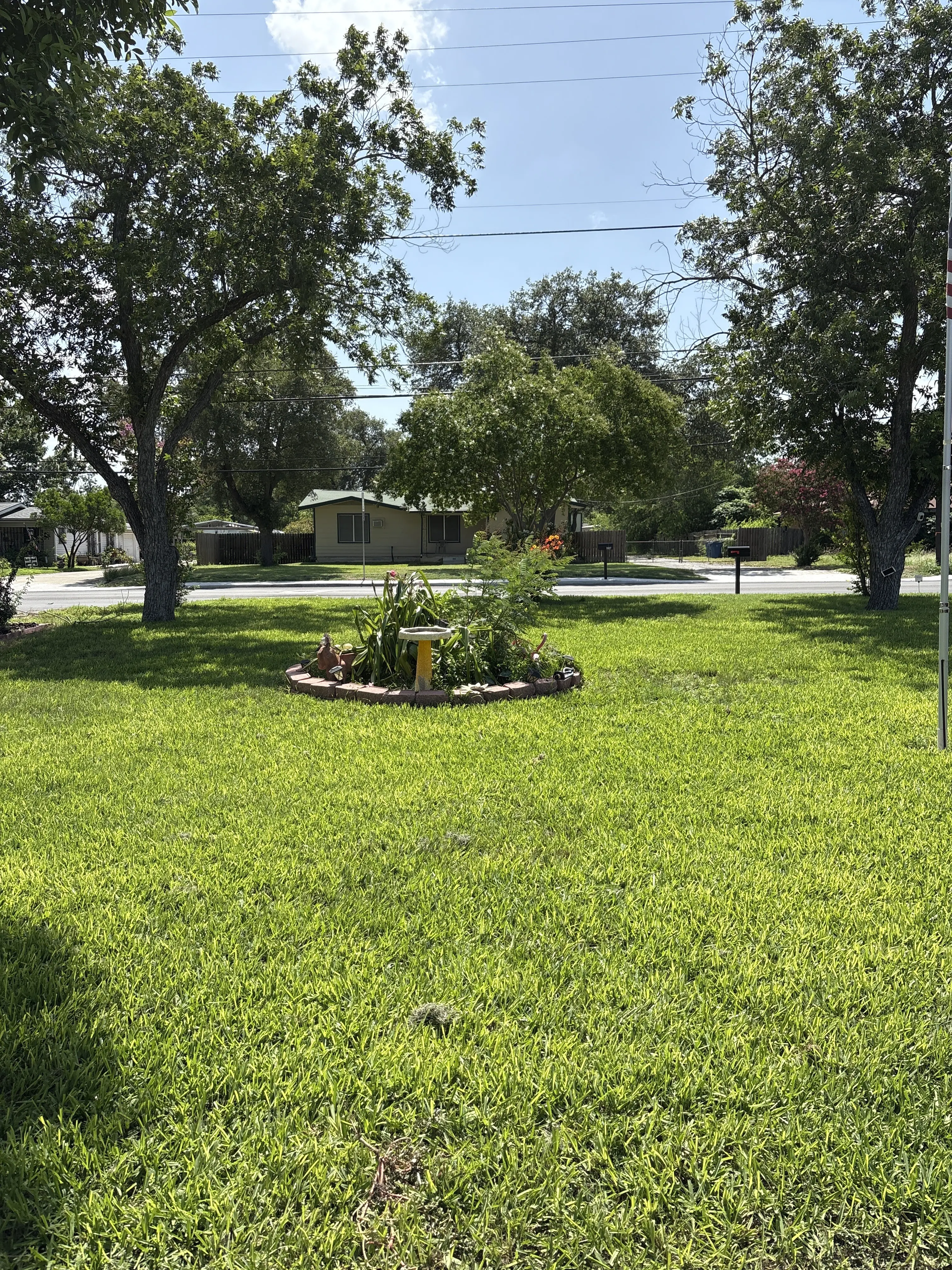 TruGreen Lawn Care