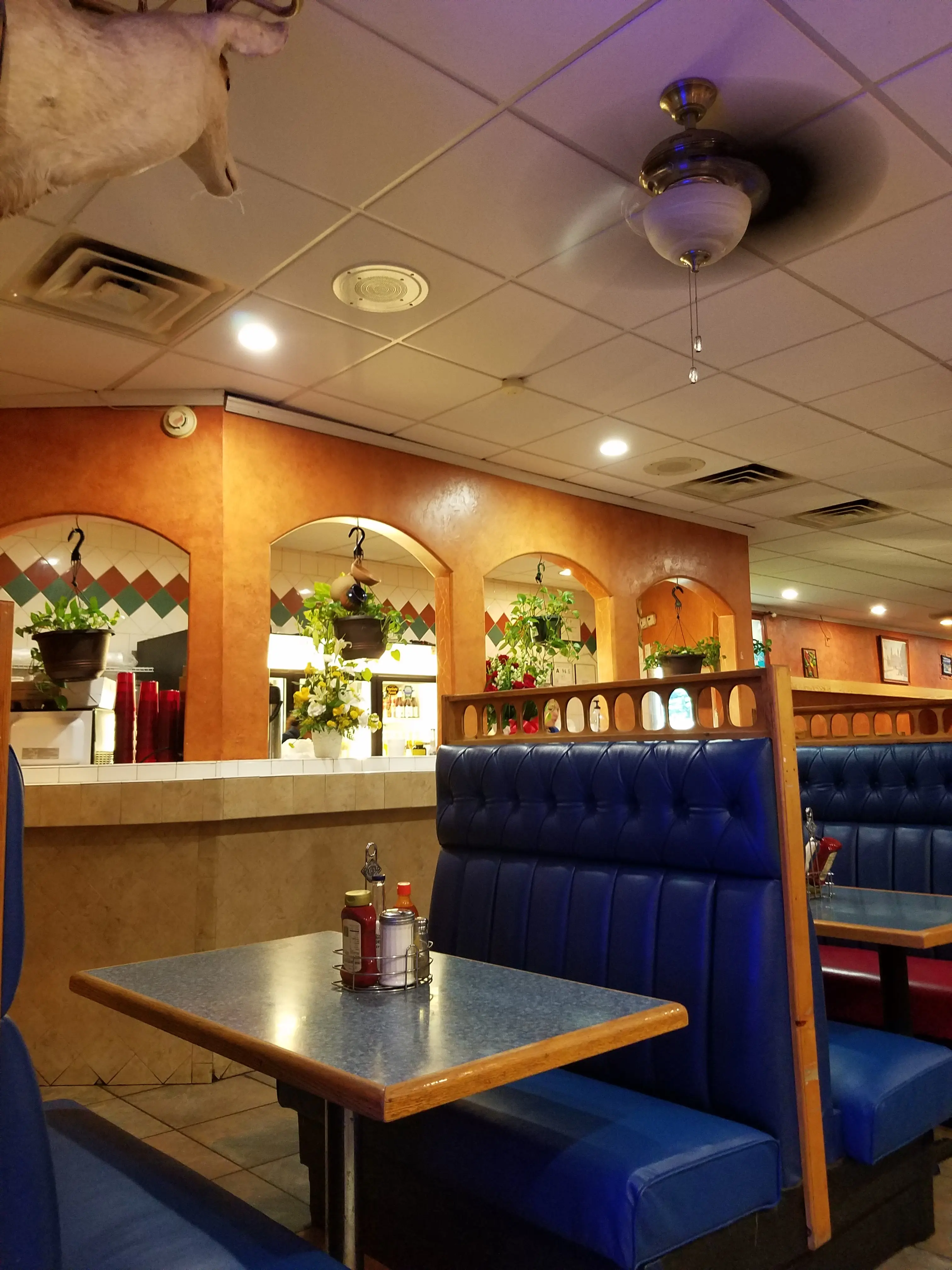 Cedars Halal Market, Restaurant & Hookah