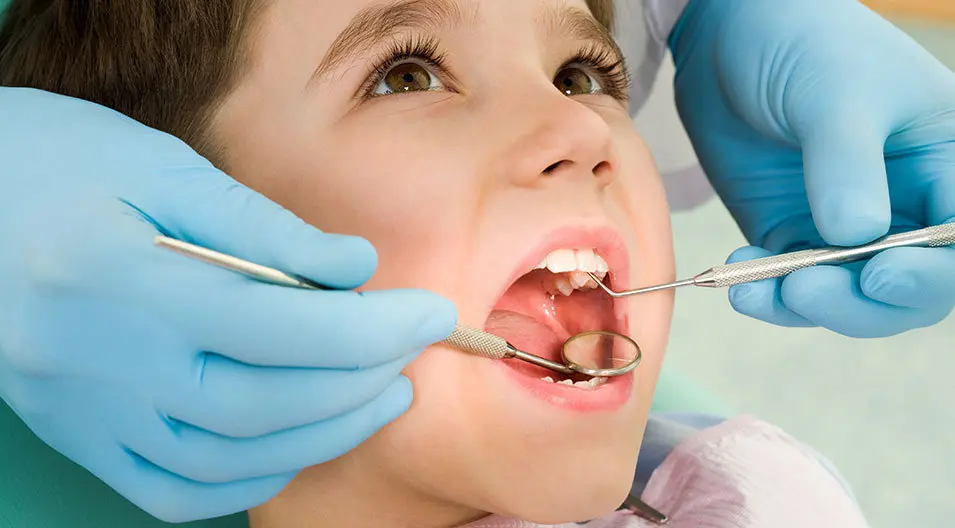 Houston Dentist Dr Kamila | Houston Cosmetic and Holistic Dentist