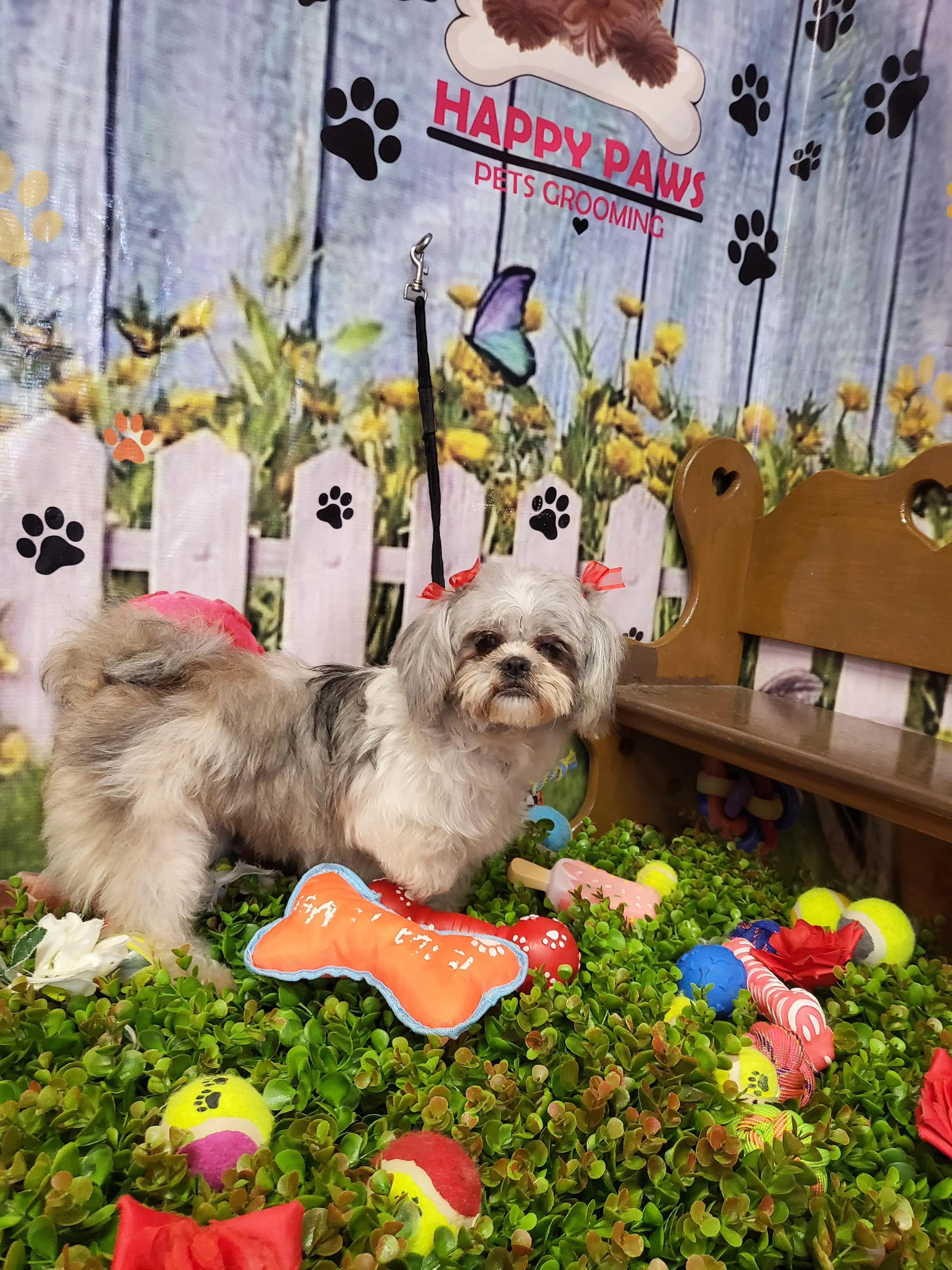 Happy Paws Pets Grooming