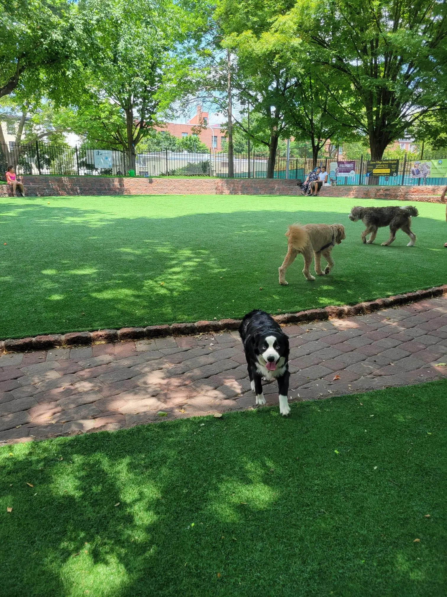 Seger Dog Park