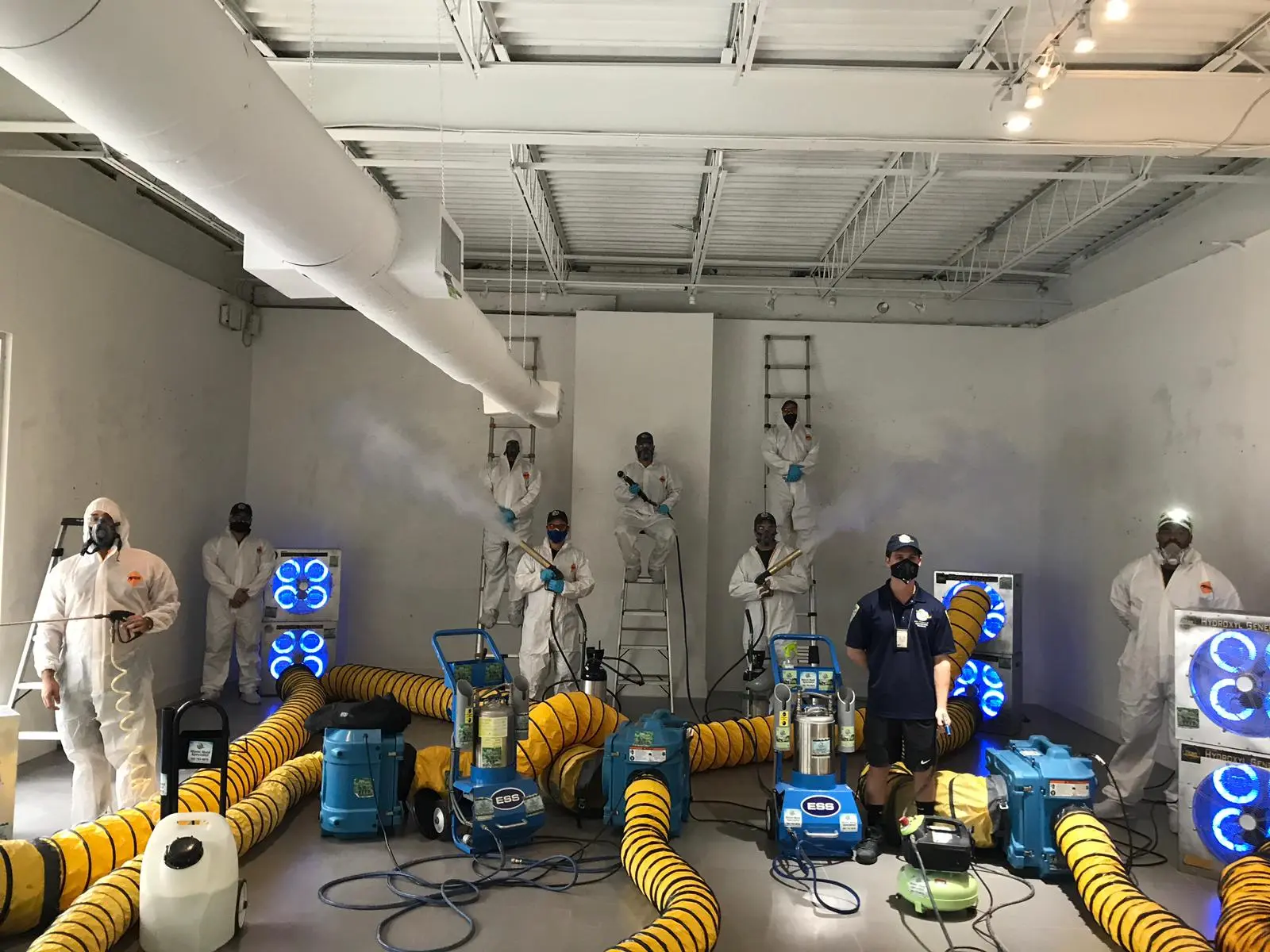 Miami Mold Specialist