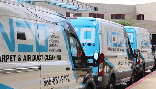 Neo Carpet and Upholstery Cleaning