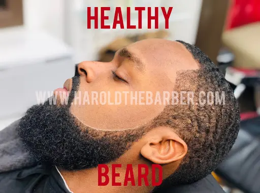 Harold The Barber (Inside of Salons by JC)