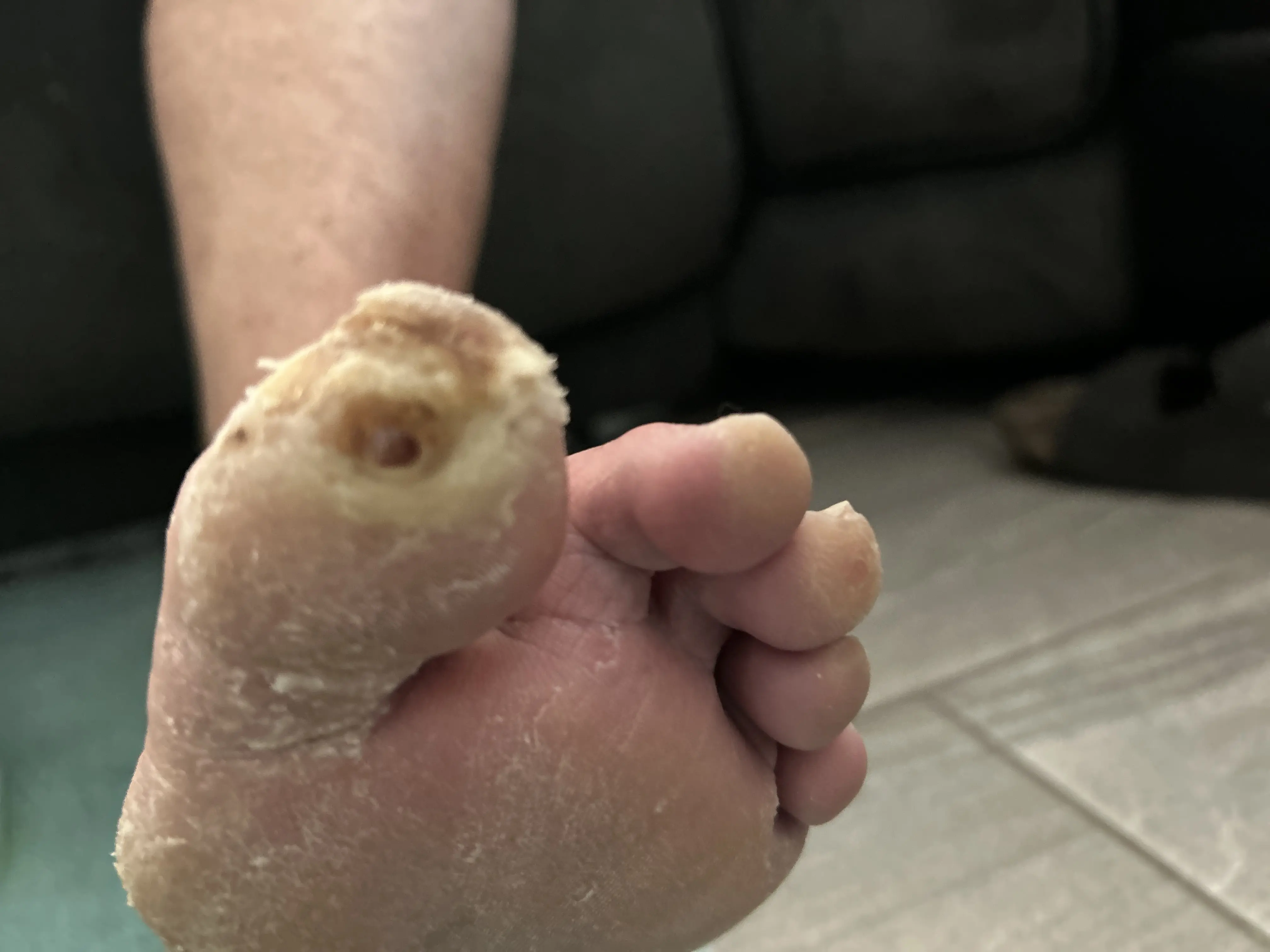 ZipAppointments