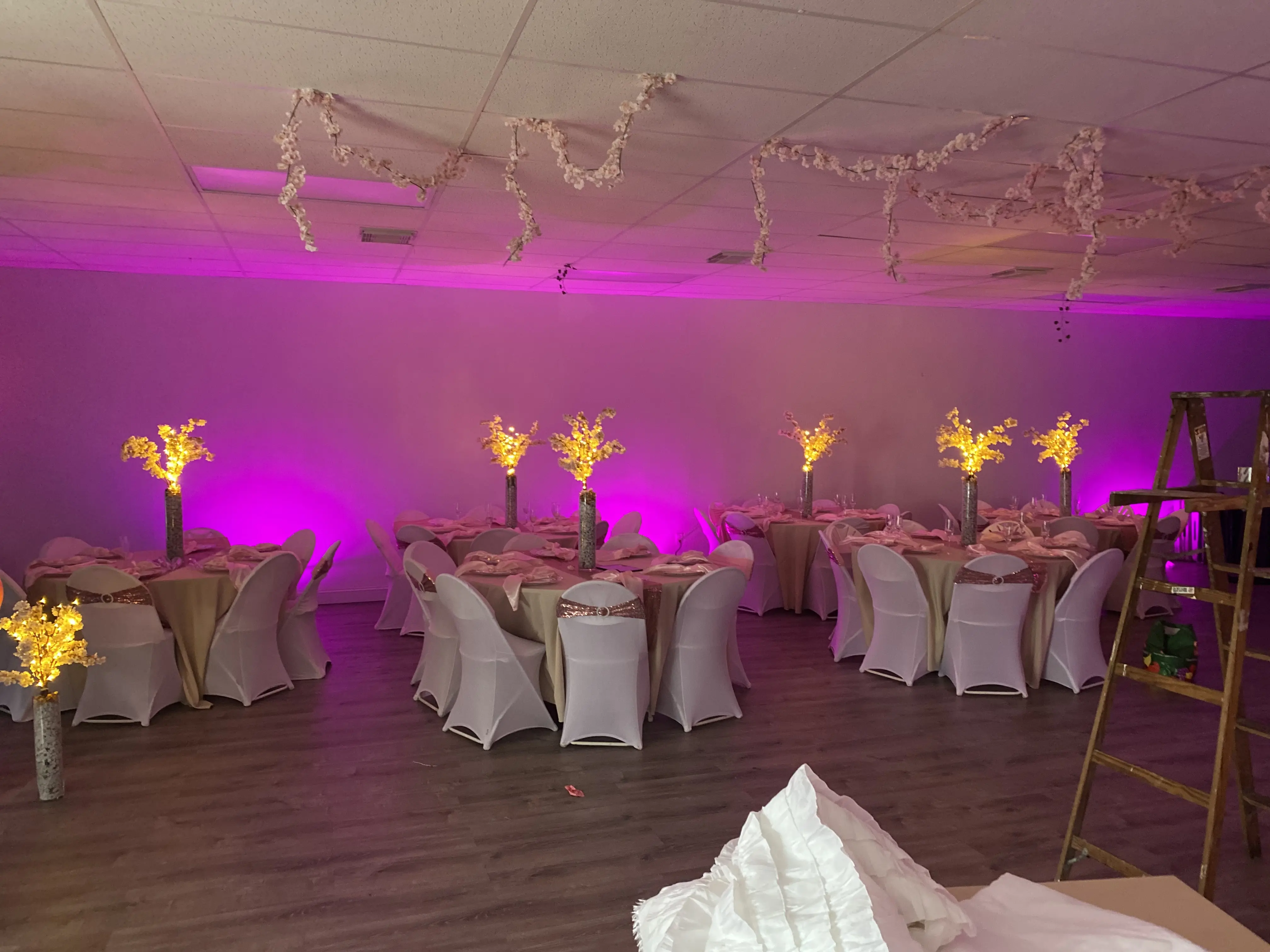 G and G Event Space