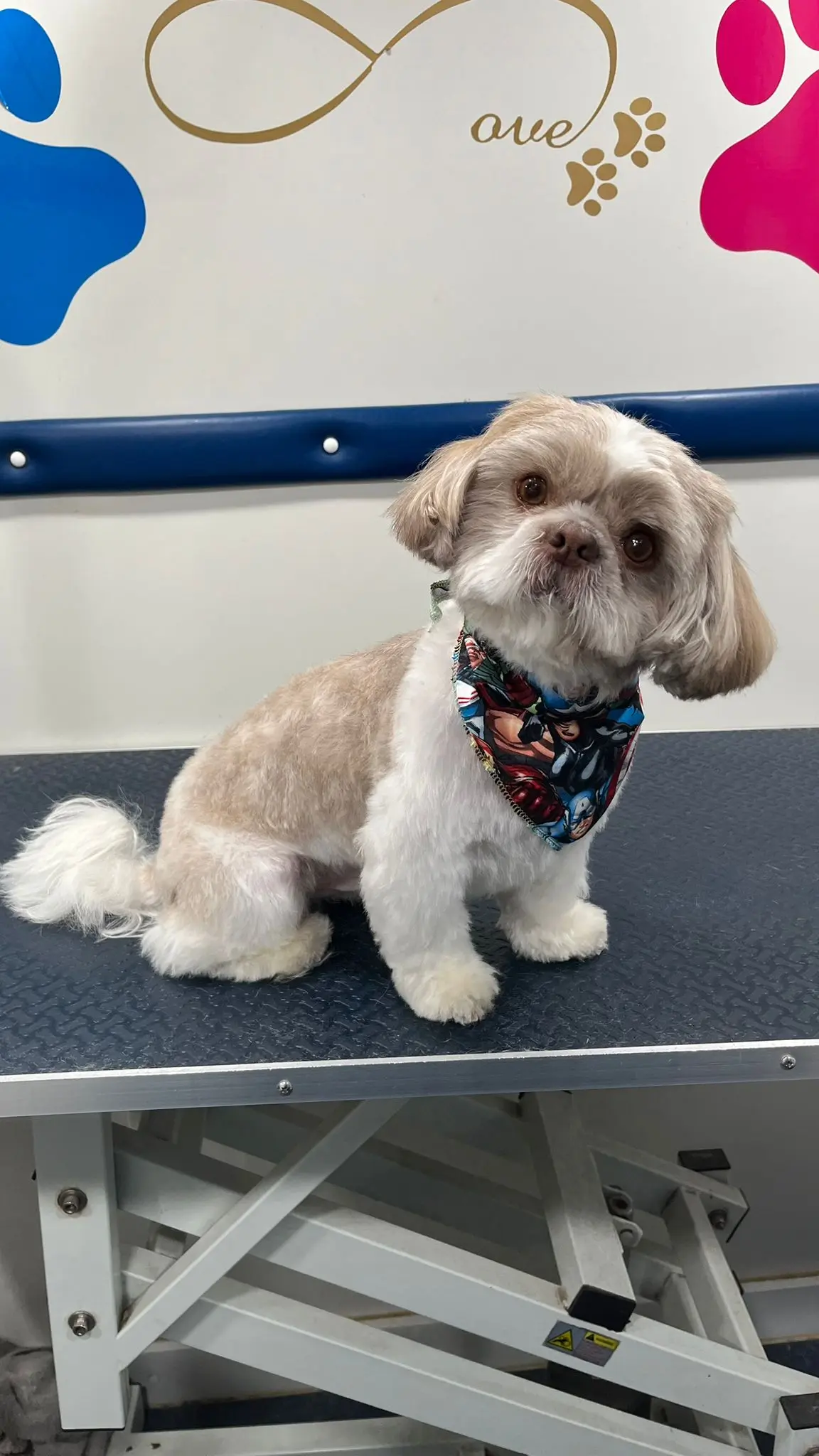 EDUGROOMER