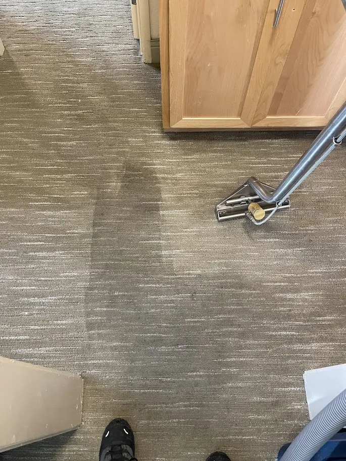 LOW COST CARPET & UPHOLSTERY CLEANING