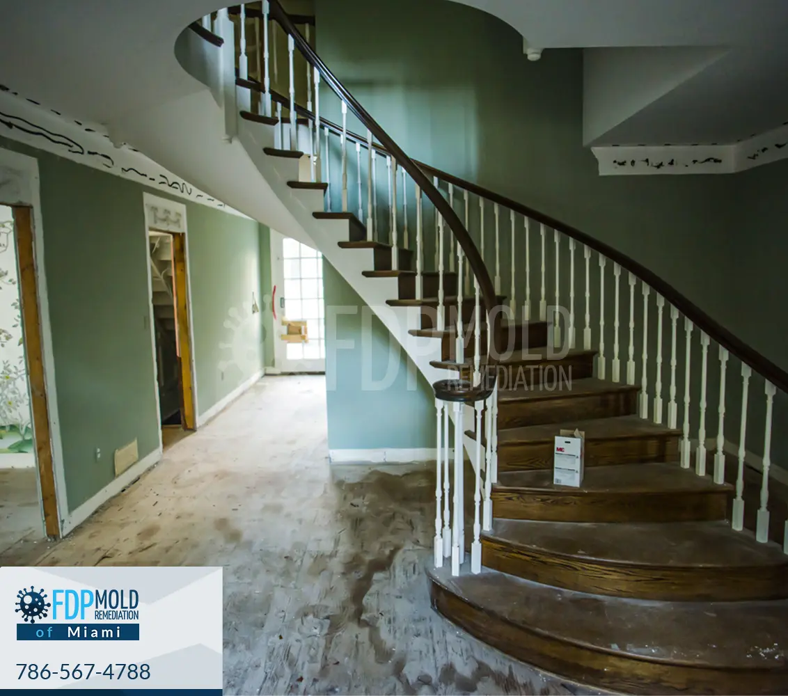 FDP Mold Remediation of Miami