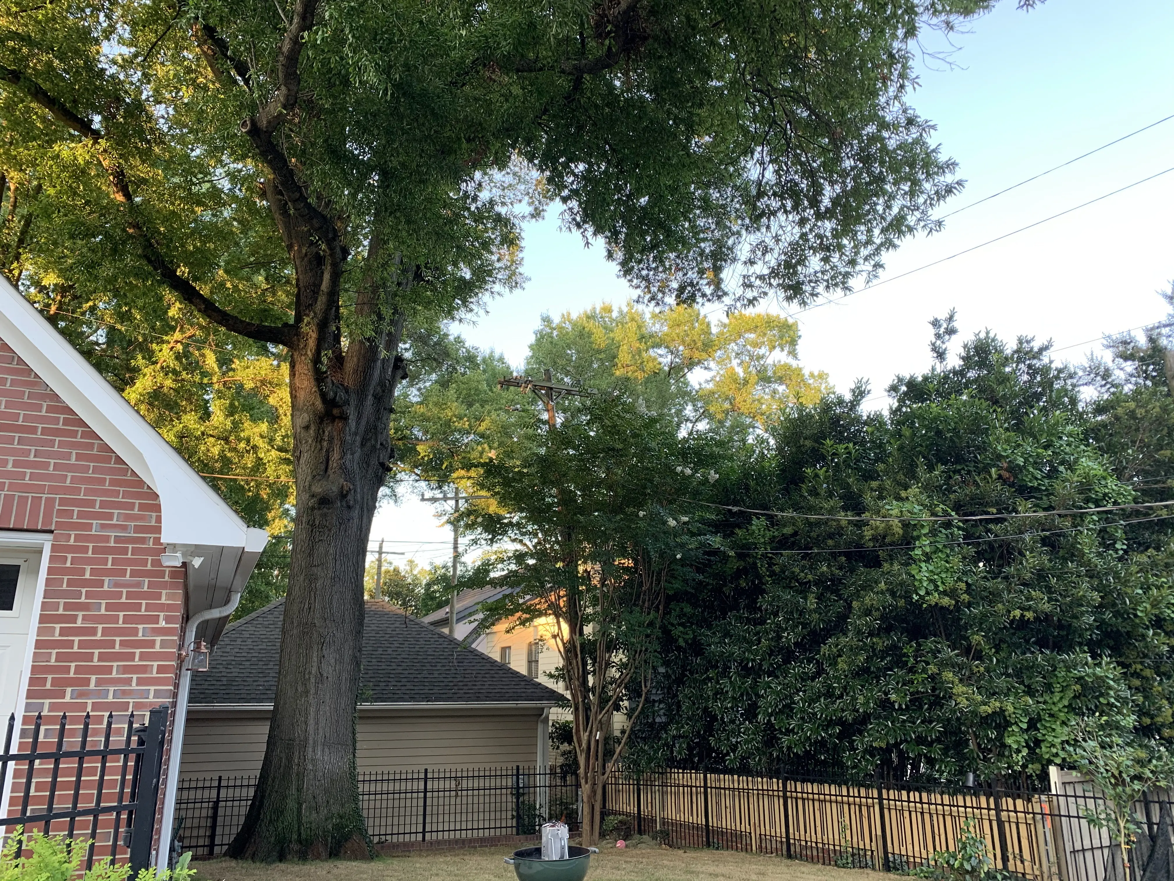 Heartwood Tree Care