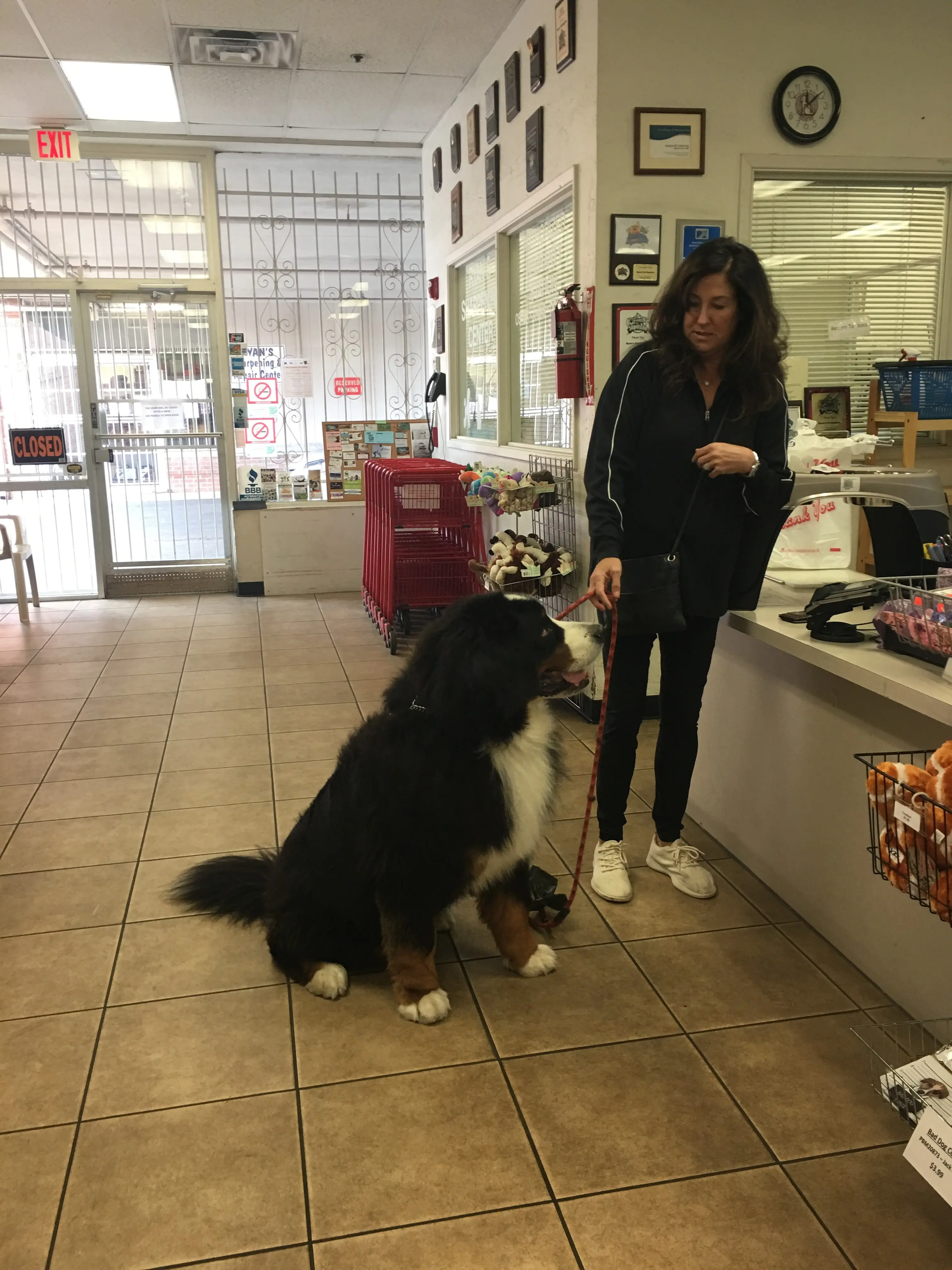 Ryan's Pet Supplies