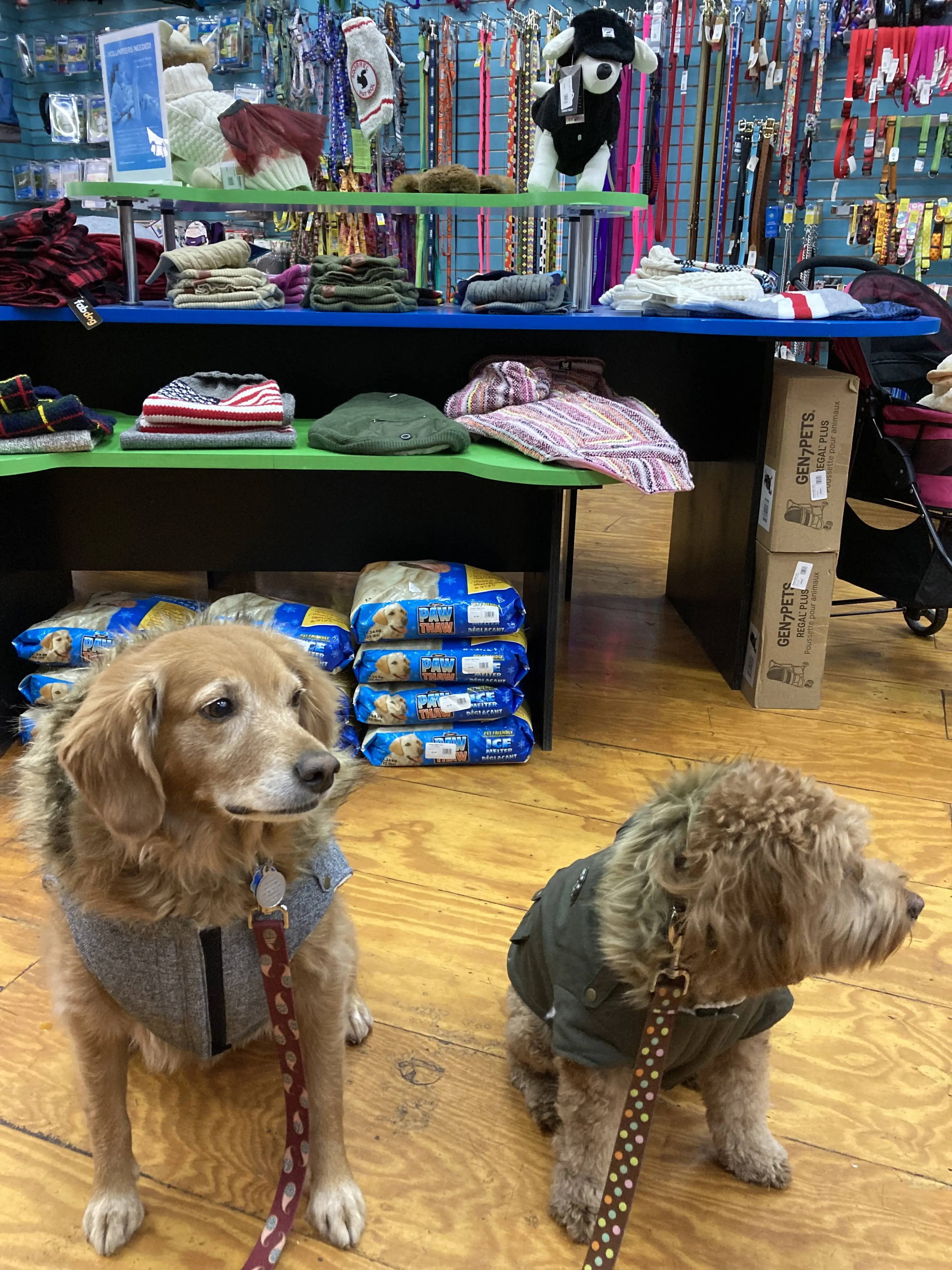 Doggie Style Pets Fairmount