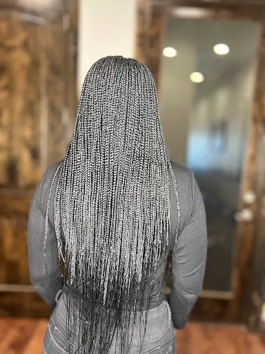 ZYTA African Braiding Hair