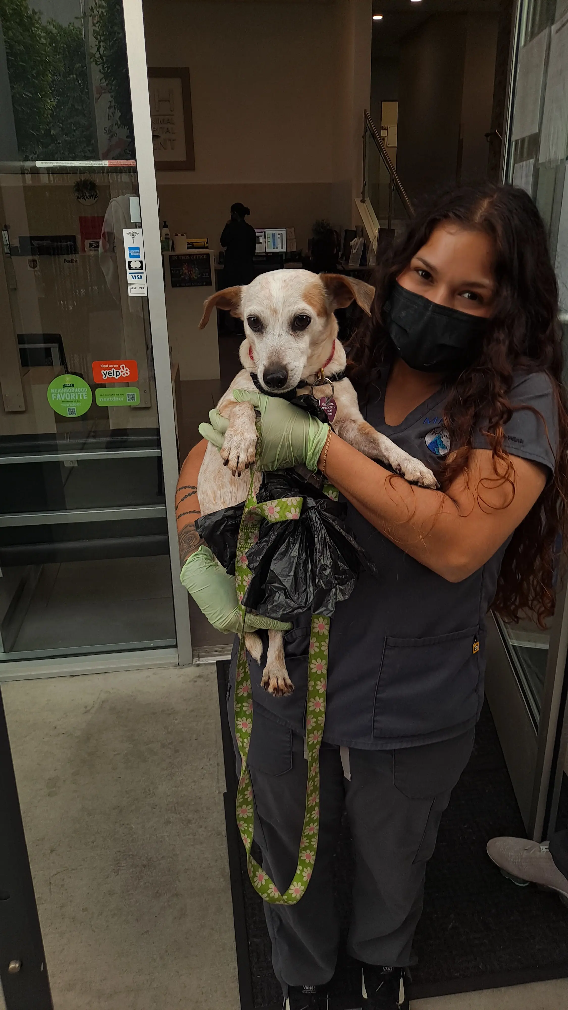 Metropolitan Animal Specialty Hospital Outpatient