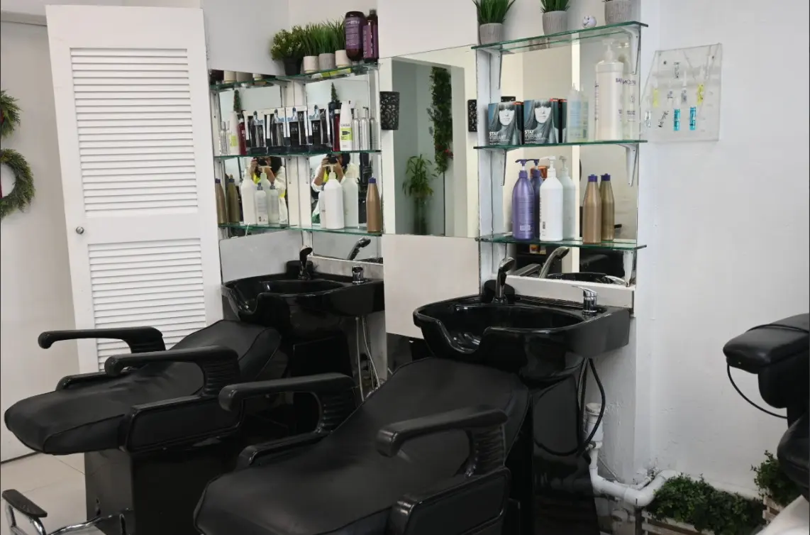 Arte Hairstylist Salon