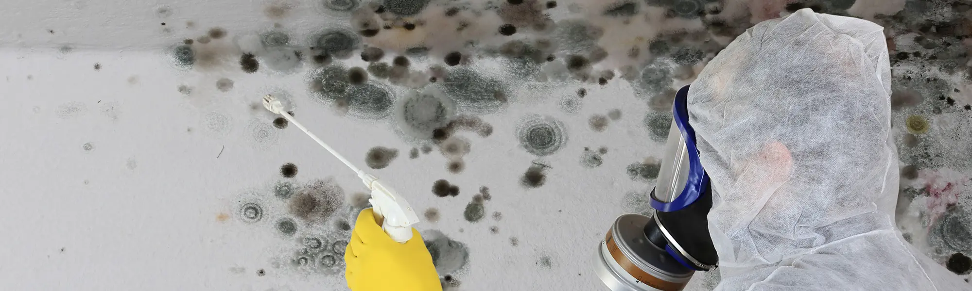 ZipAppointments
