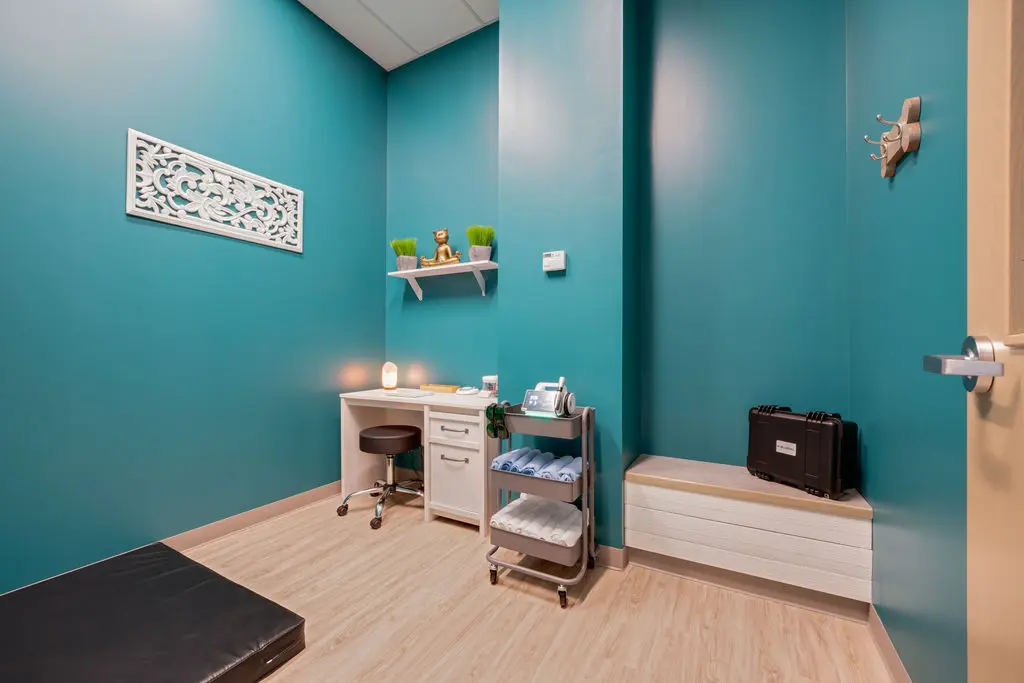 Healing Tails Chicago Pet Rehabilitation and Acupuncture