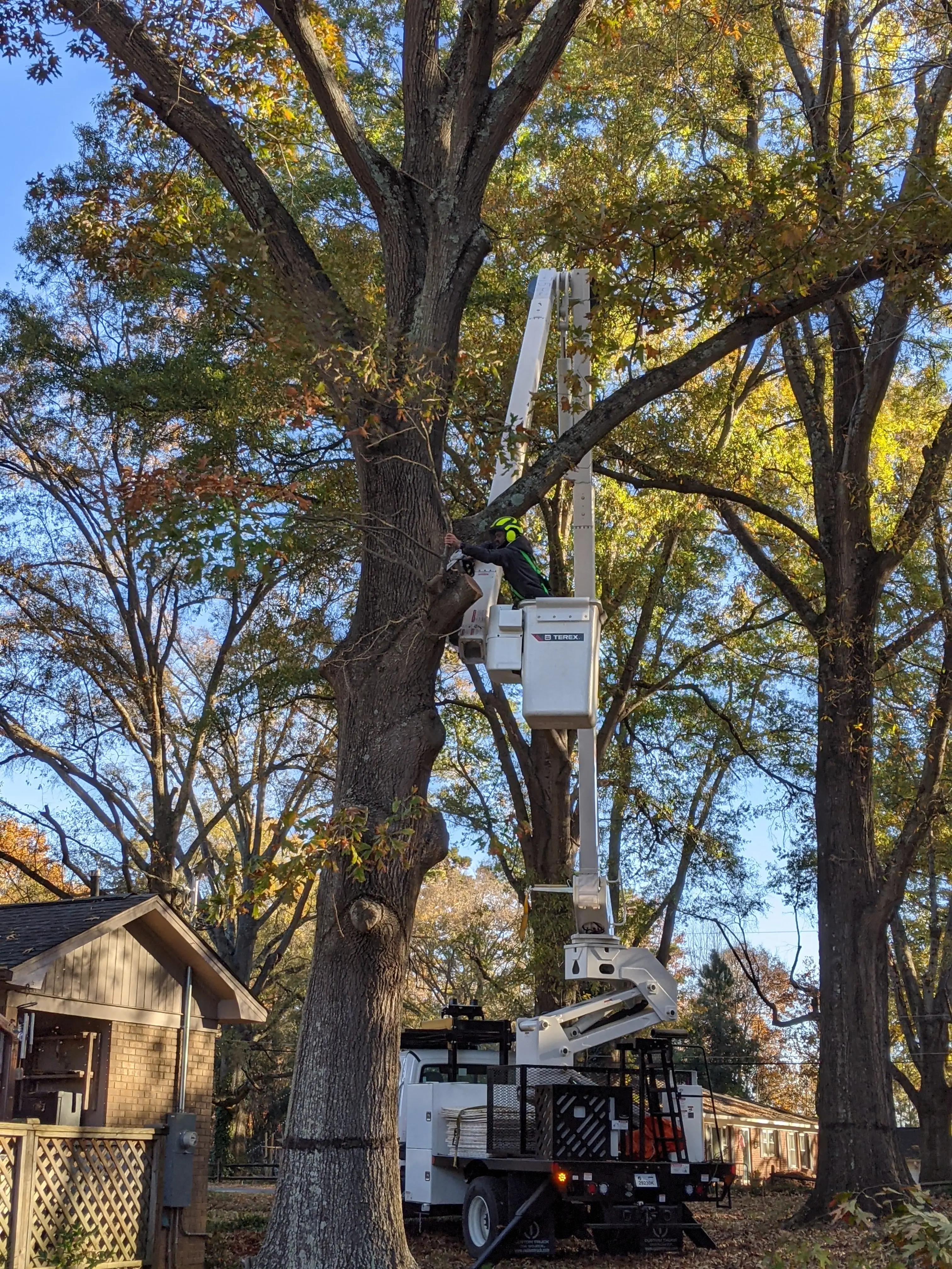 Marc's Tree Service