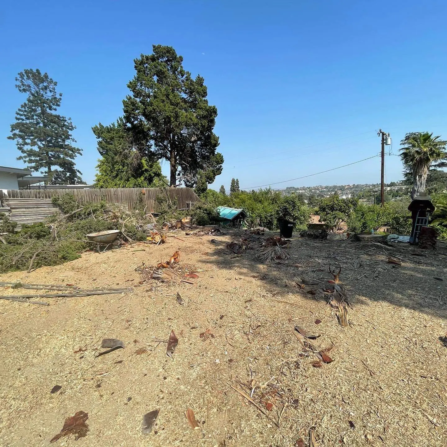 LunaBella Tree Svc & Landscape LLC