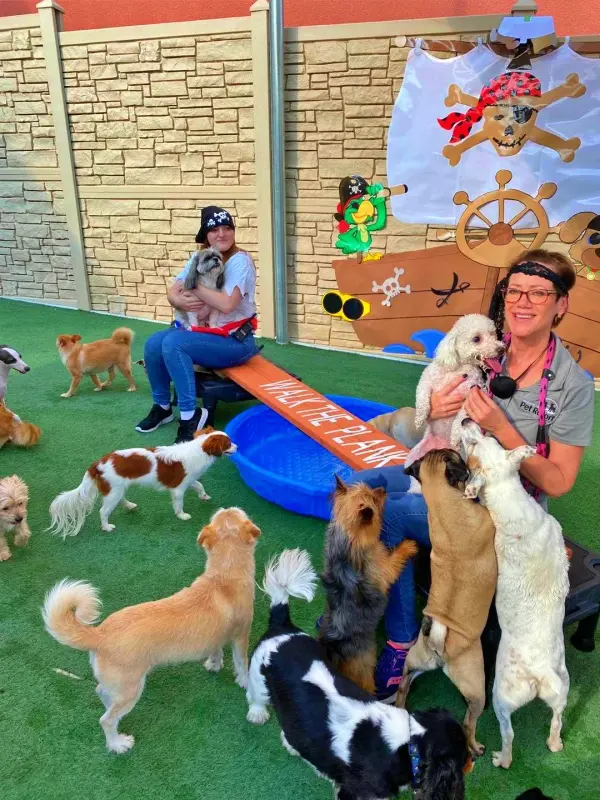 Henderson Pet Resort