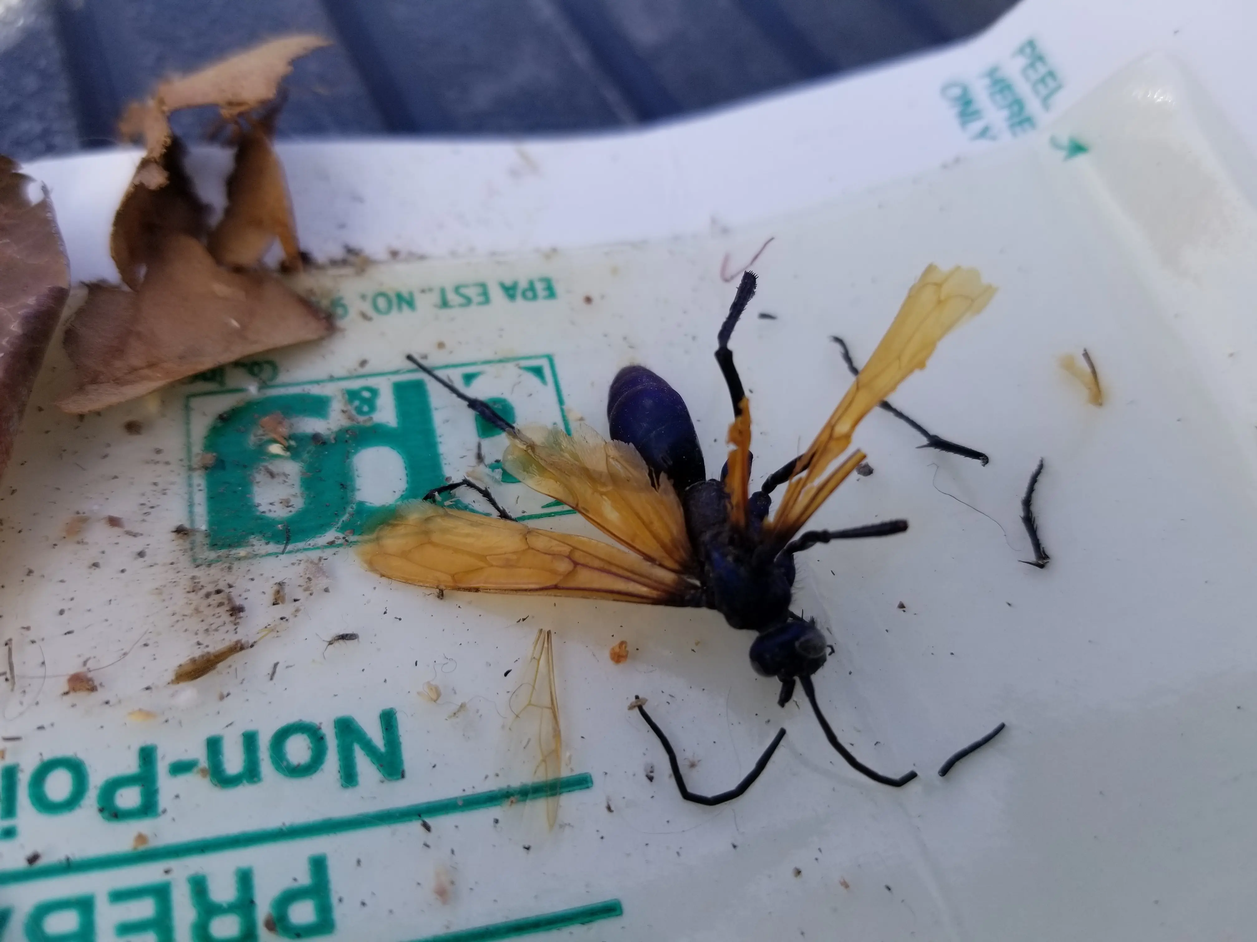 Apex Pest Control LLC
