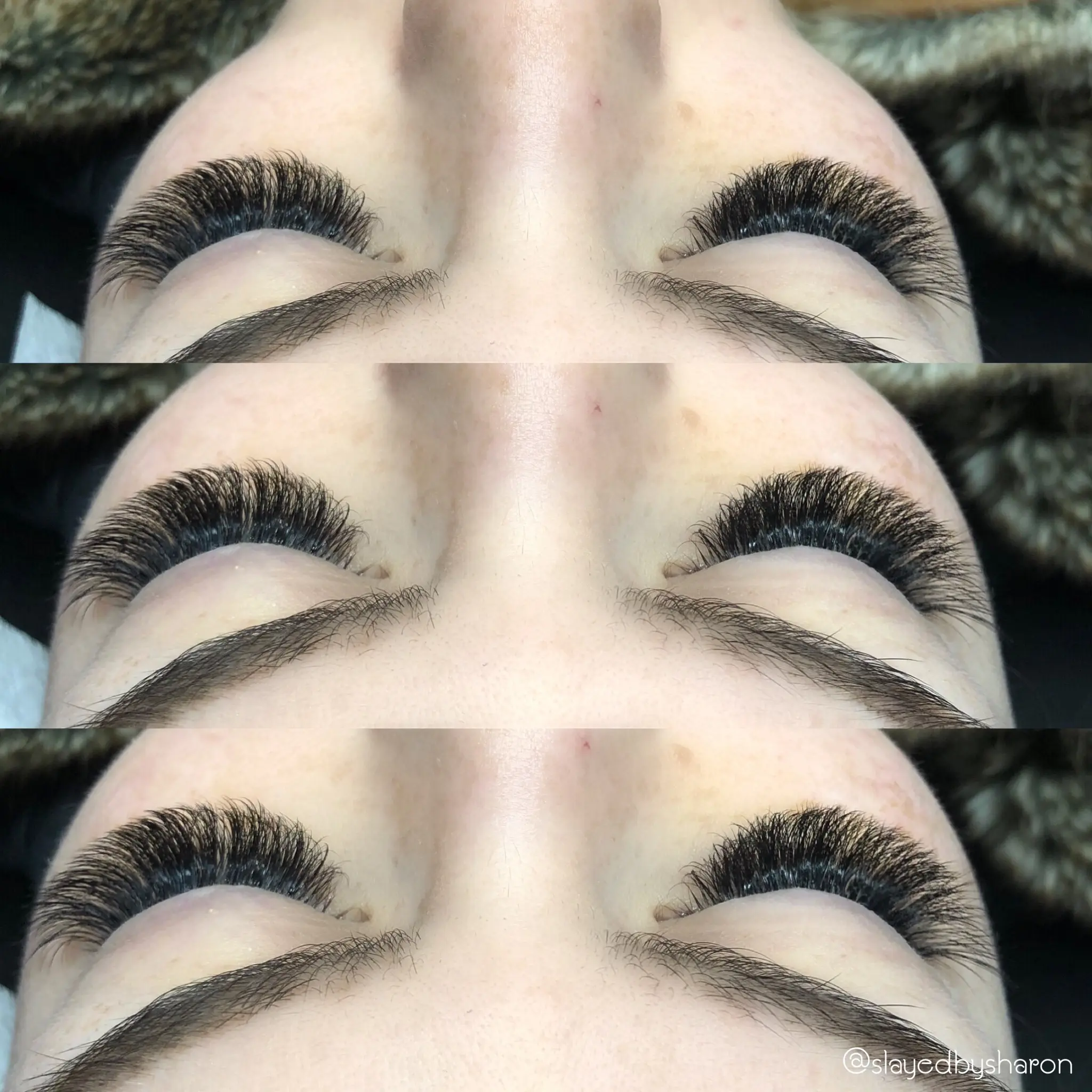 THE LASH BOUTIQUE