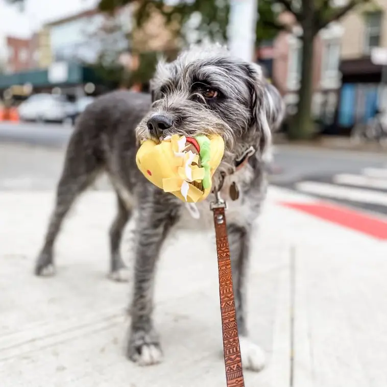 Doggie Style Pets Pine