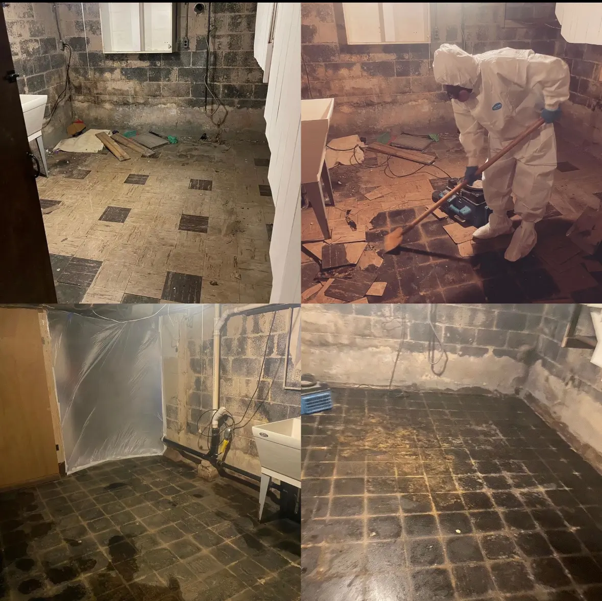 Pollution Solutions Remediation & Mold Services
