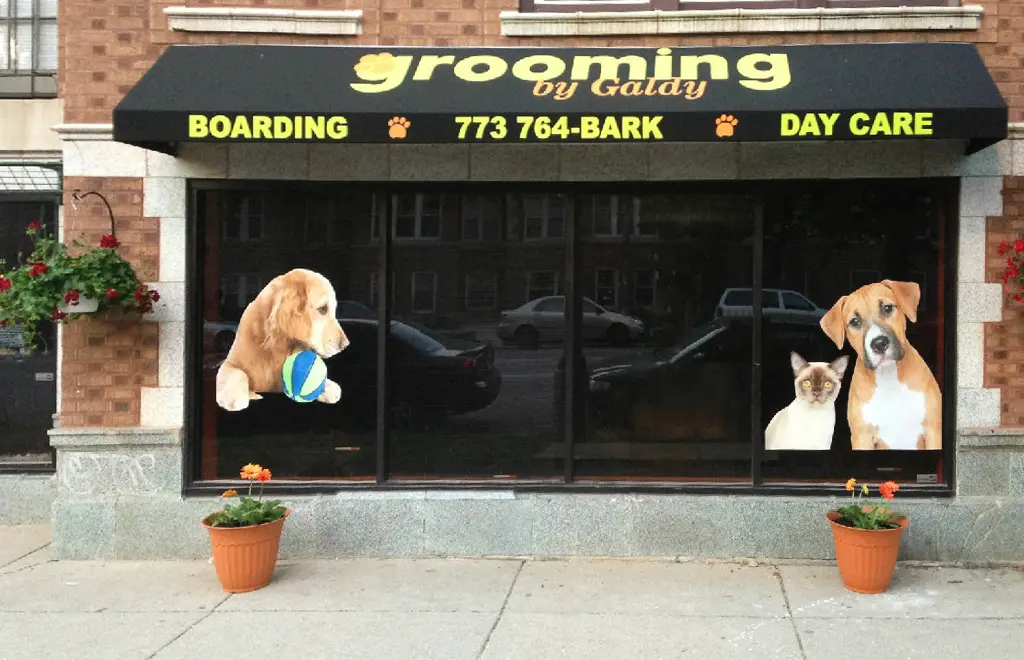 Grooming By Galdy