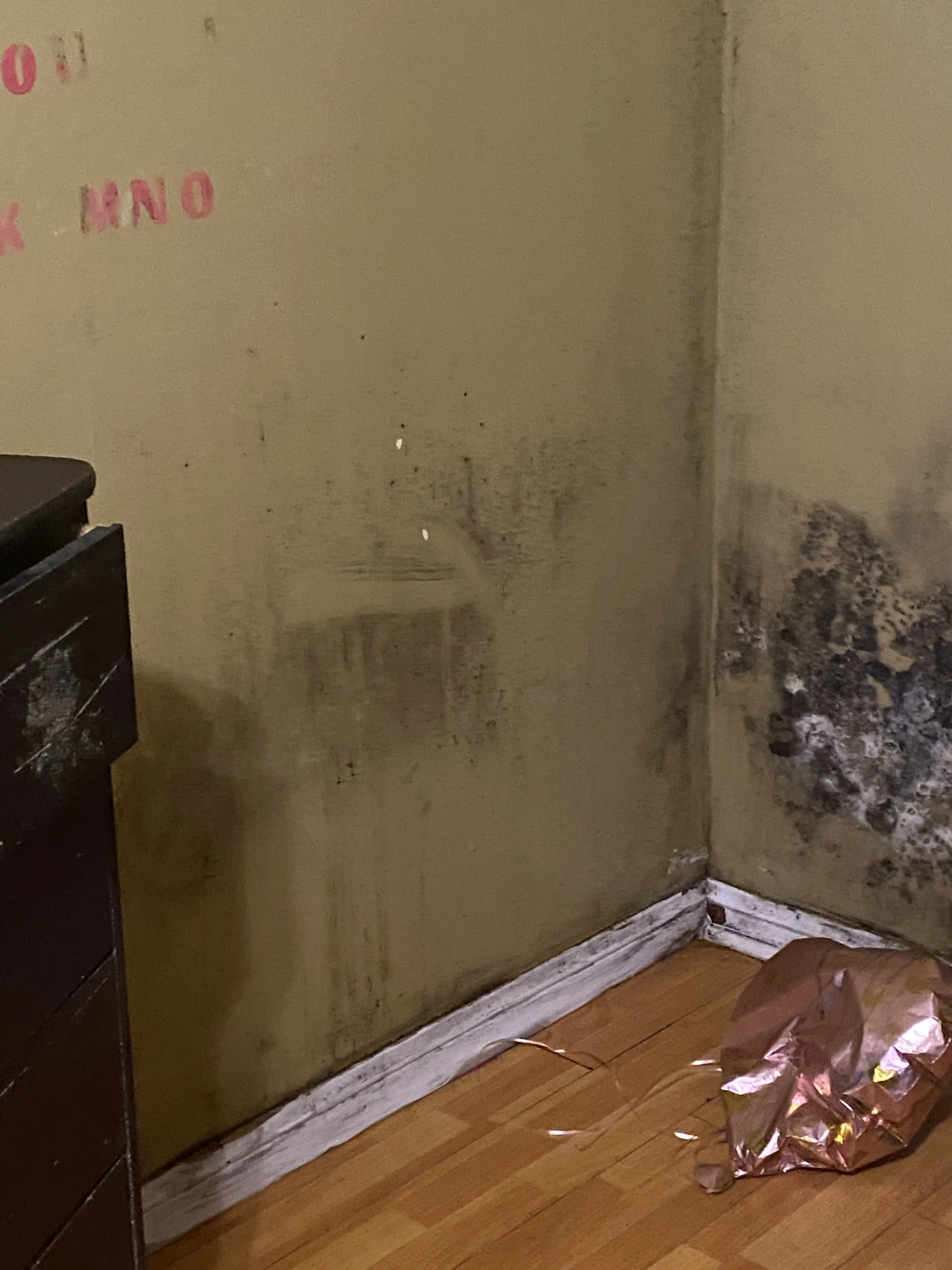 A Mold Specialist