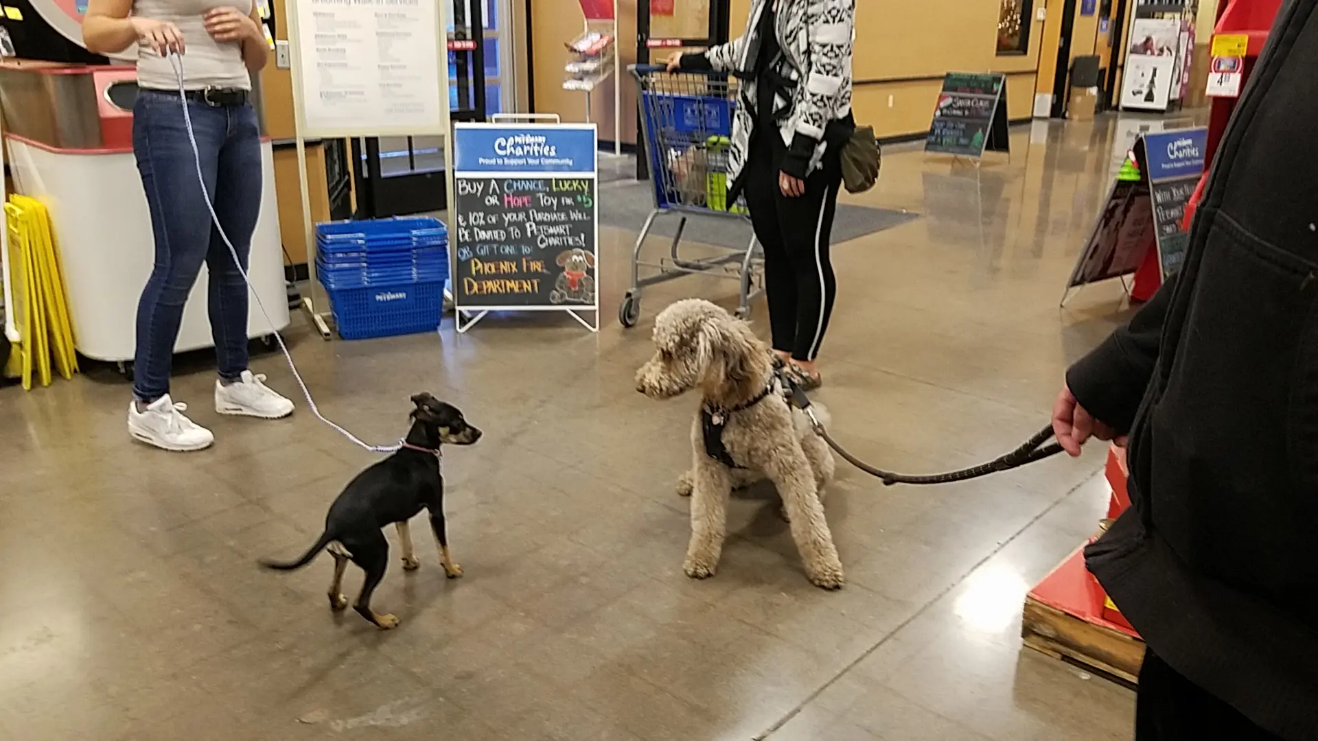 PetSmart