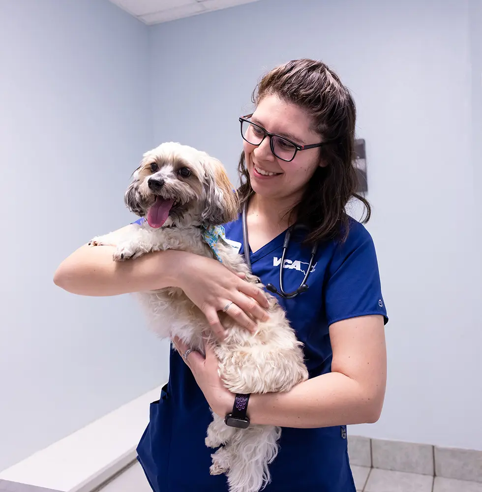 VCA Health Associates Animal Hospital
