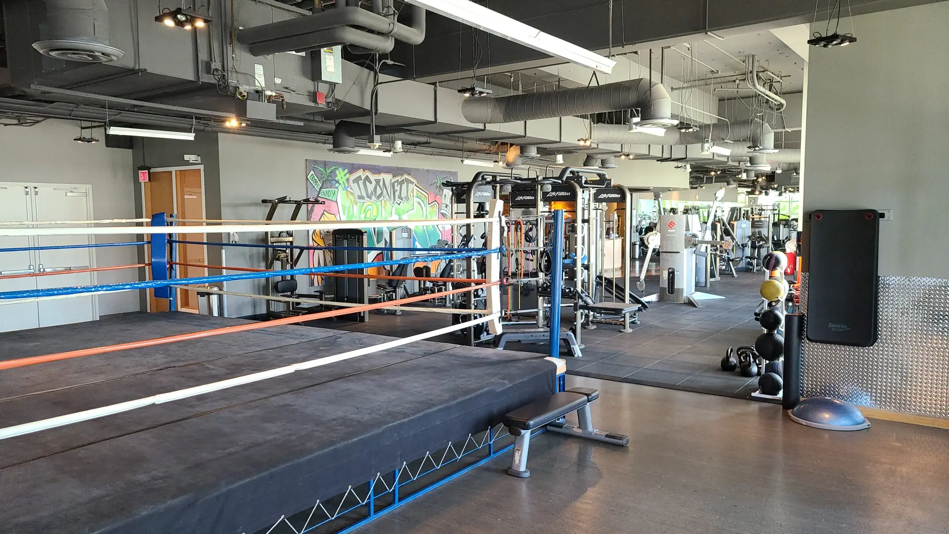 IconFit