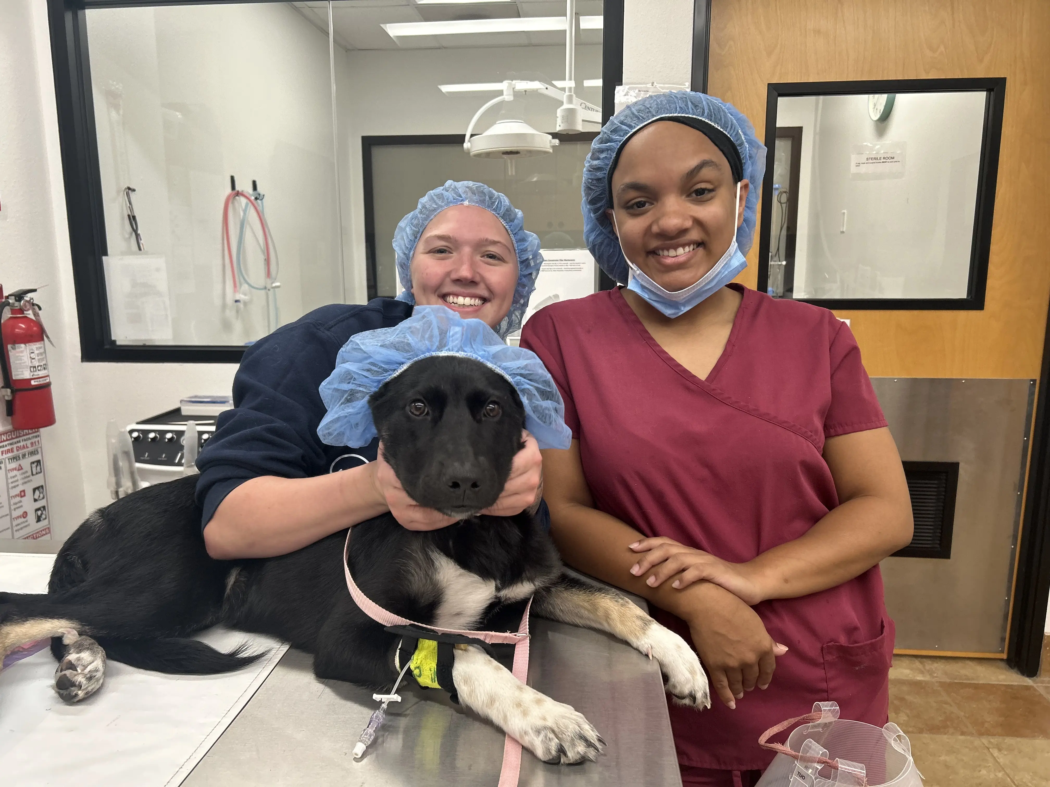 PetSmart Veterinary Services - North Round Rock