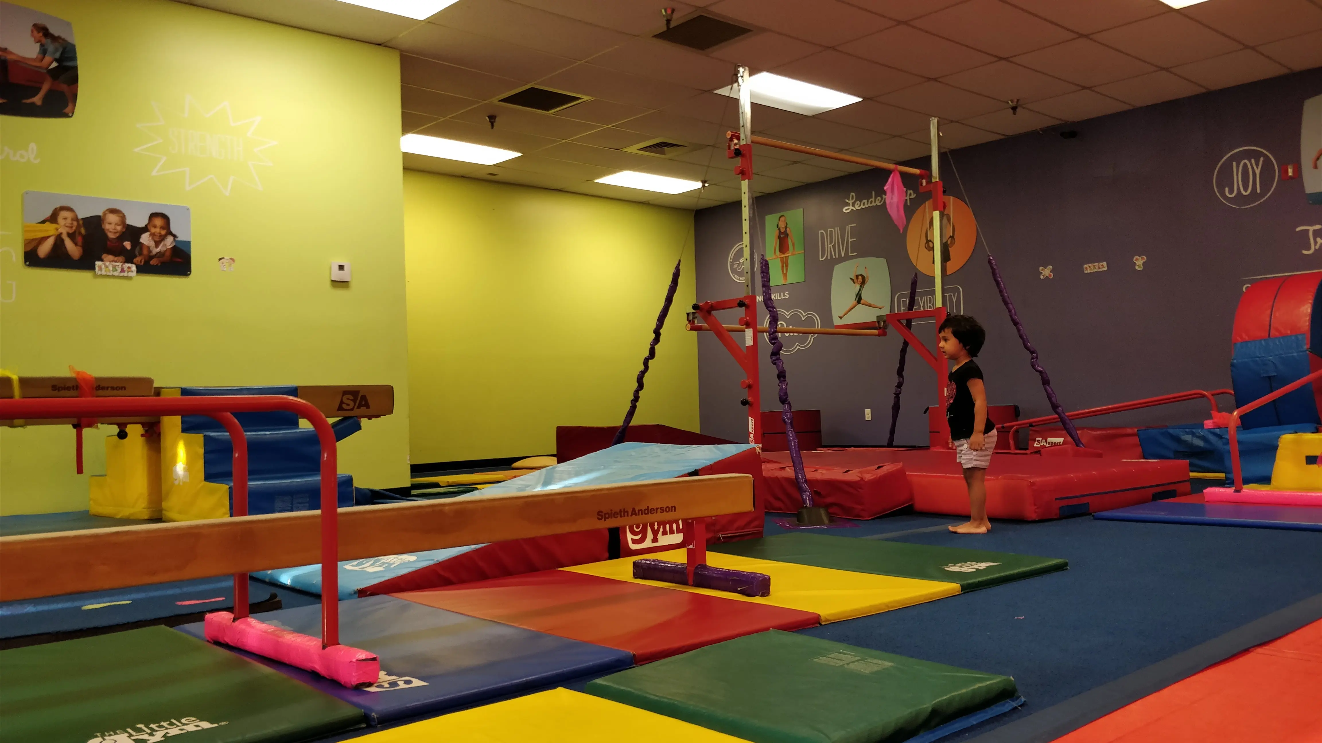 The Little Gym of Paradise Valley