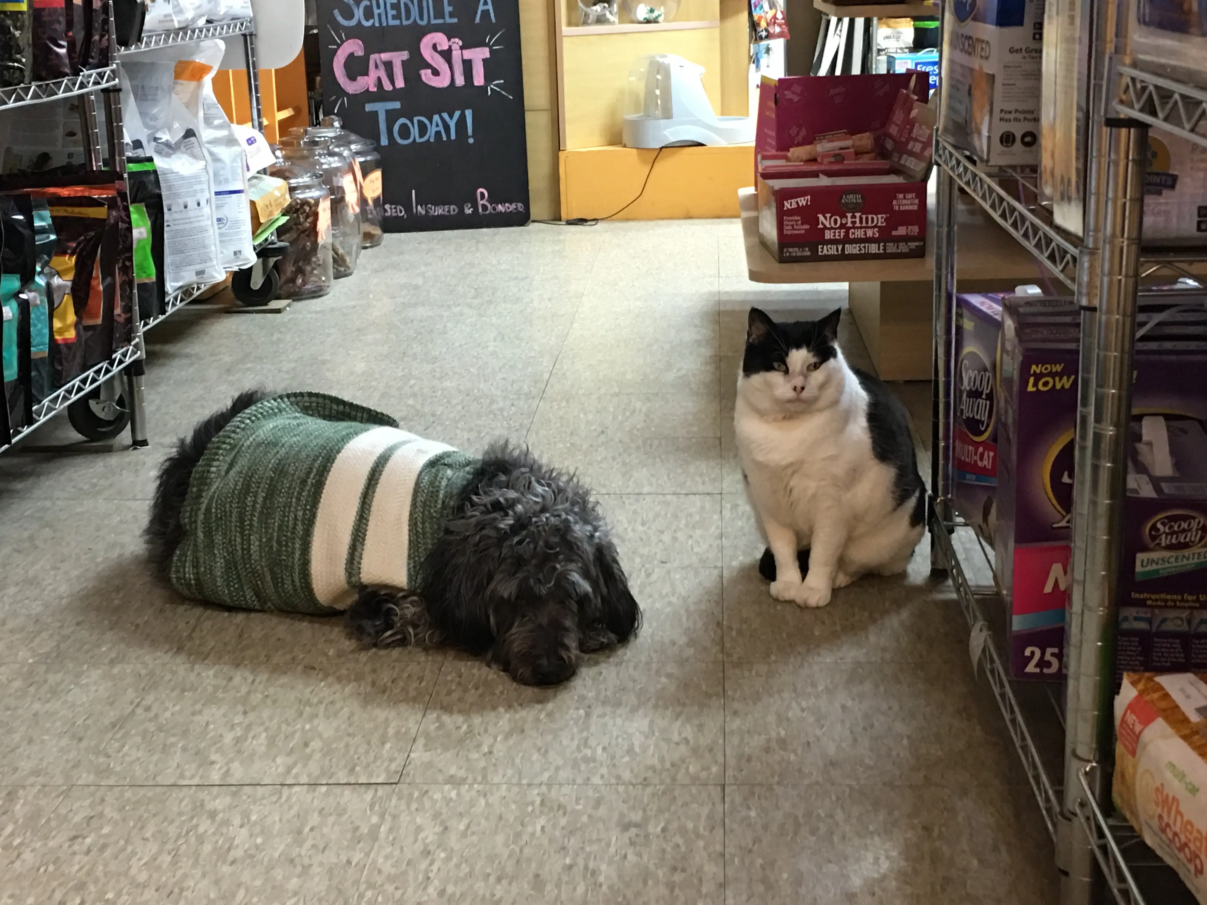 Litterpaw Pet Supply - Washington Square West