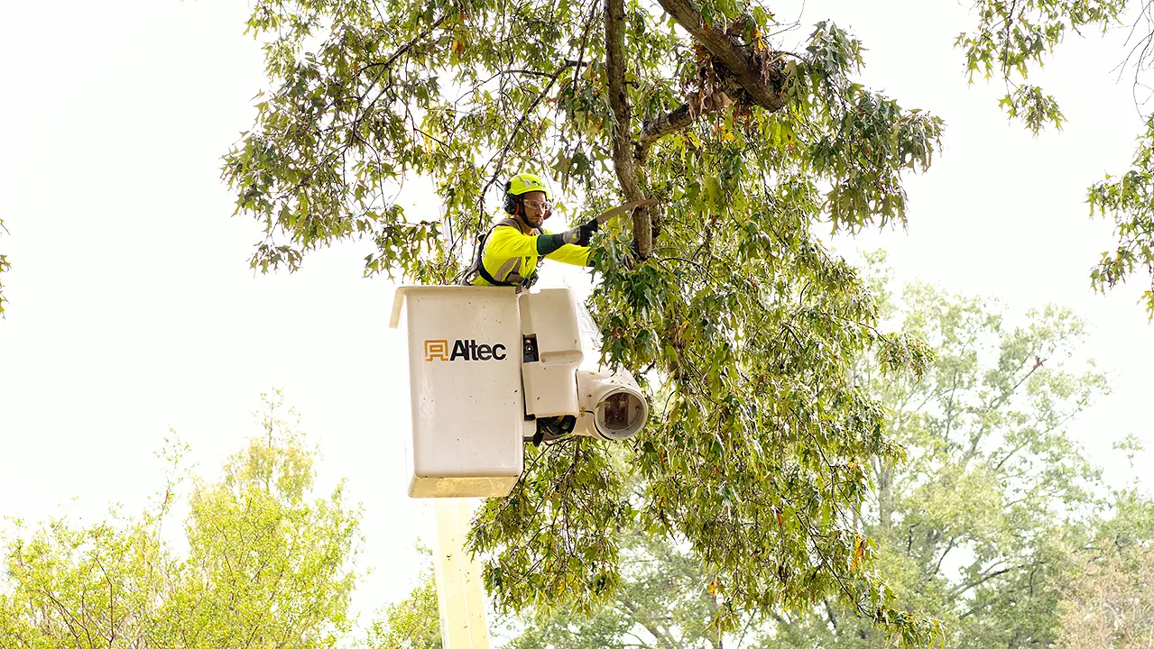 Bartlett Tree Experts