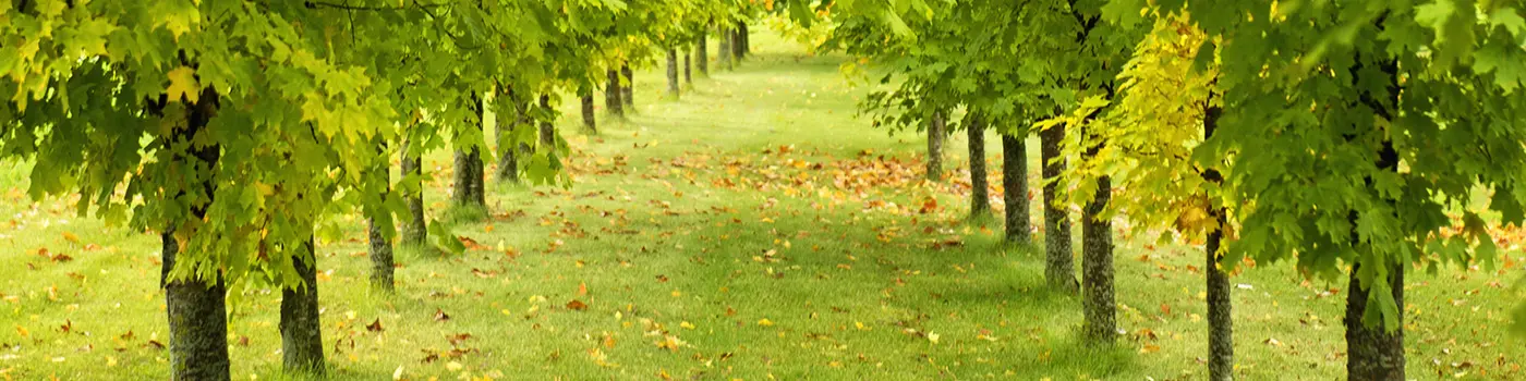L And L Environmental Services LLC