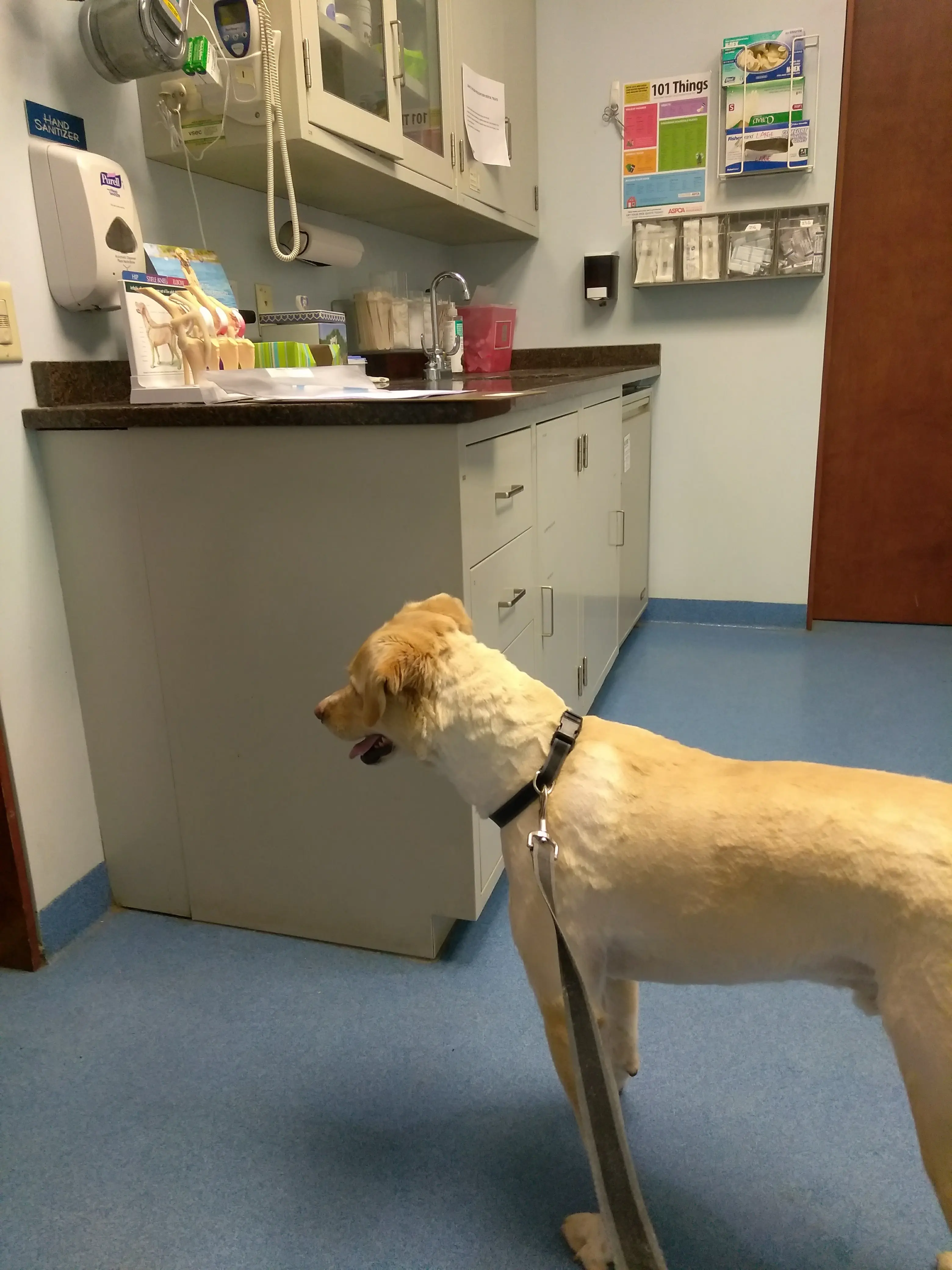 Dutton Road Veterinary Clinic