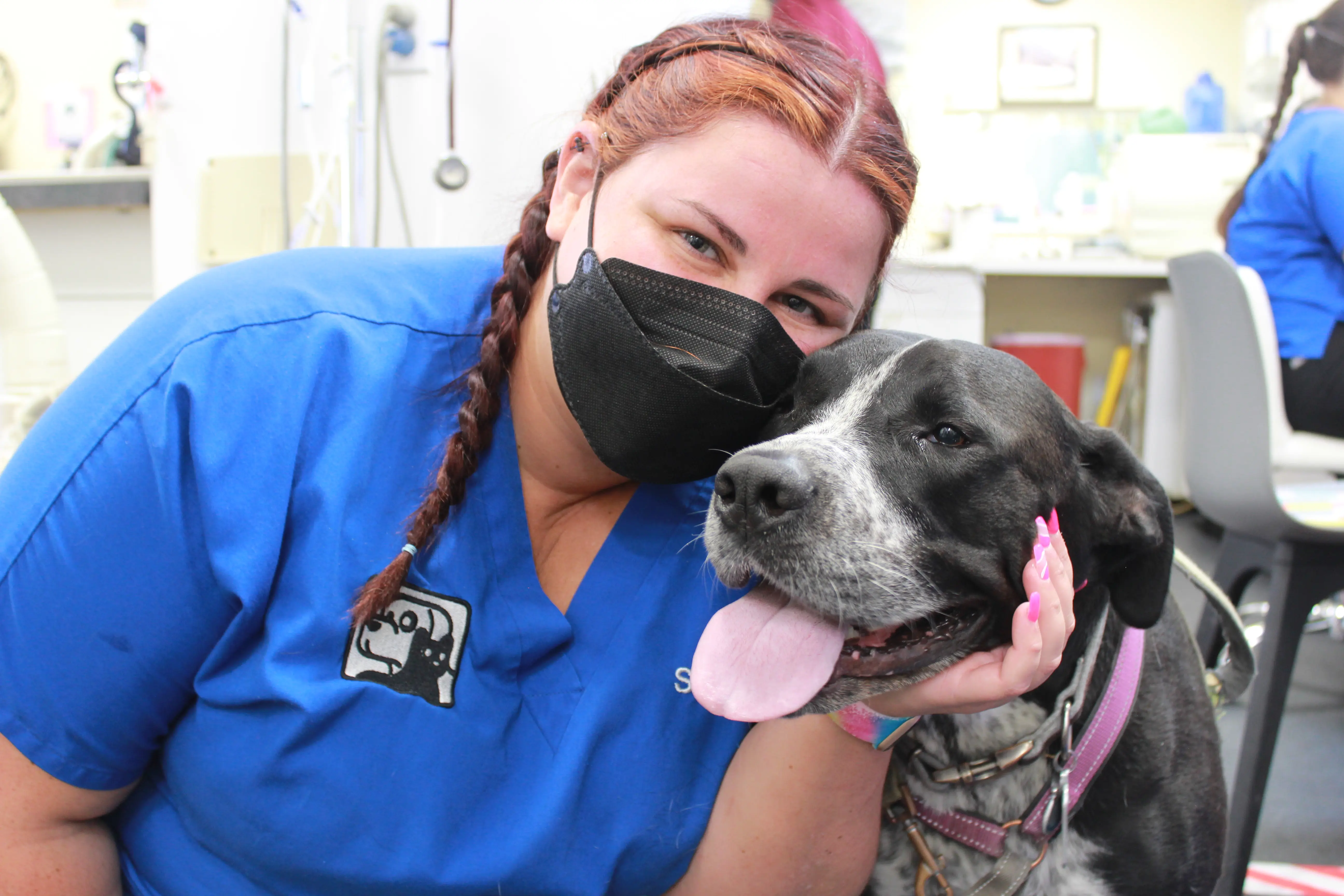 Companion Pet Hospital